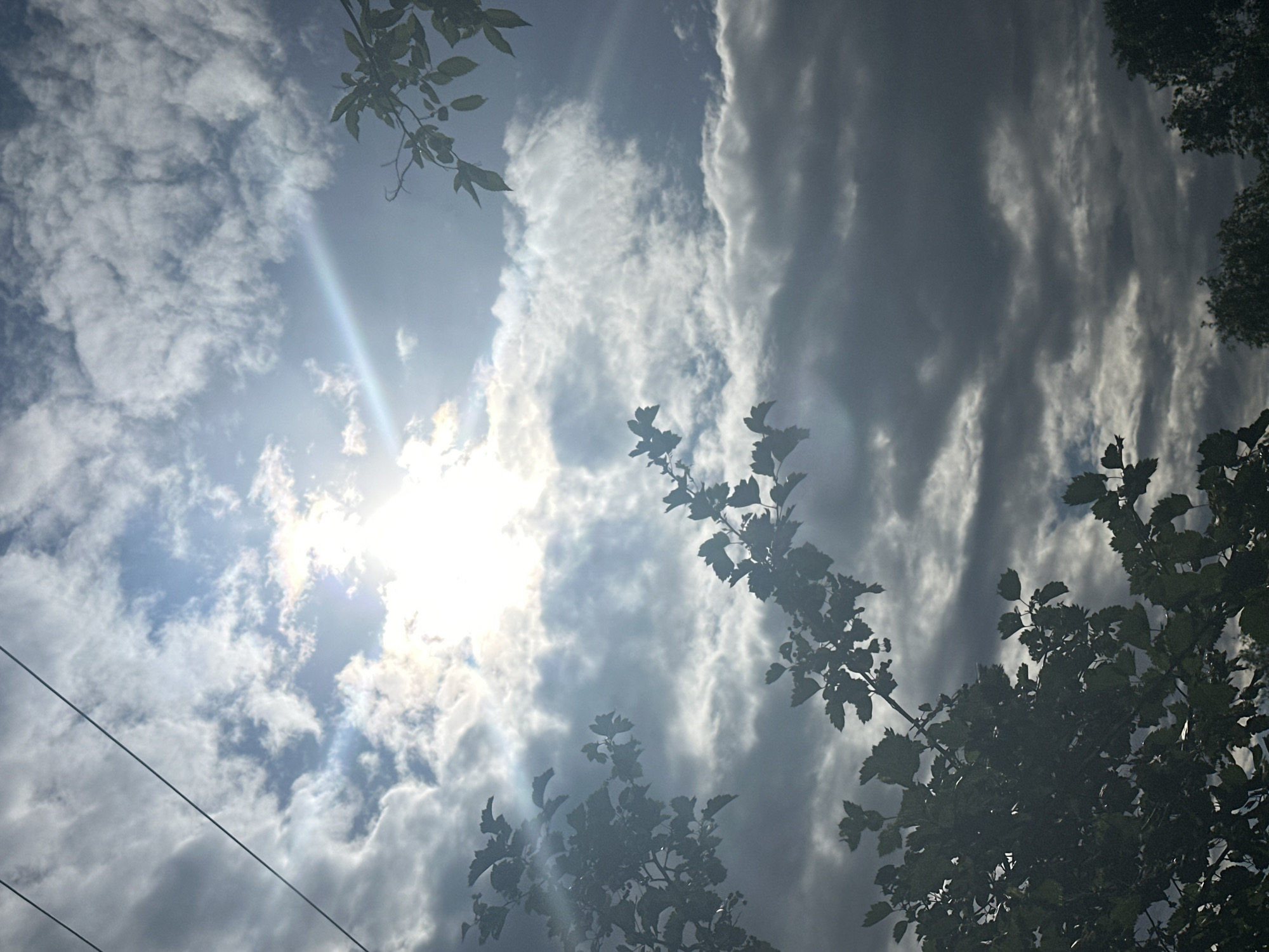 The image captures a skyward view of a cloudy sky with the sun breaking through, creating a bright, almost lens-flared effect. Wispy white clouds are scattered across a blue sky, interspersed with larger, darker storm clouds that create a dramatic contrast. Several dark, silhouetted branches and leaves from trees frame the top and bottom edges of the image, suggesting an outdoor setting with overhead foliage. A thin, dark wire, likely a power line or phone line, cuts horizontally across the lower left portion of the frame. The light filtering through the clouds indicates it is daytime, possibly late morning or afternoon. The interplay of light and shadow on the clouds suggests a dynamic weather pattern, perhaps a transition between a sunny spell and impending rain. There is no discernible activity or event taking place, and no text is visible. The overall mood is somewhat dramatic and awe-inspiring, due to the contrast between the bright sun, the dark clouds, and the silhouetted branches.