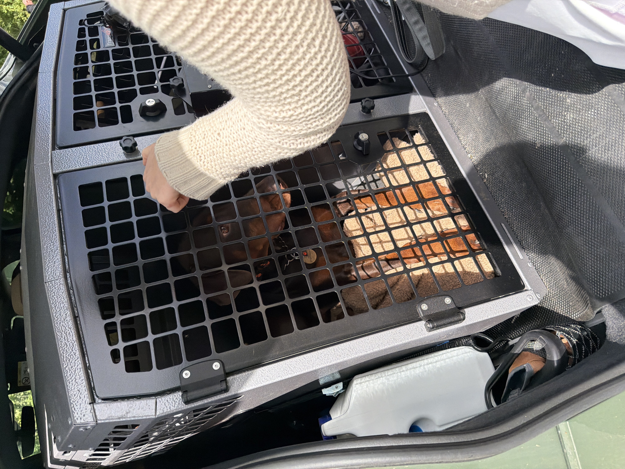 A person wearing a cream-colored sweater is reaching into a black metal dog crate that is inside the trunk of a vehicle. The dog crate has a grid pattern on the front and top. Inside the crate, there is a brown and tan dog lying on a patterned mat. Next to the dog crate, inside the trunk of the vehicle, there is a white and blue container, and a black and brown object. The location is the Folkestone and Hythe District, United Kingdom.