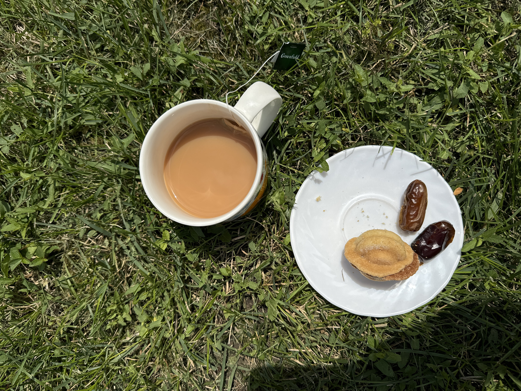 A high-angle medium shot captures a white mug filled with tea, a small white saucer with two dates and a pastry, and a tea bag tag resting on a bed of green grass. The mug is on the left, its handle pointing towards the top right corner. The tea inside is a warm, light brown color. To the right of the mug, the white saucer holds two plump, dark brown dates and a small, circular pastry with a ridged pattern. The tea bag tag, with the word "Greenfield" printed in white on a green background, dangles from the mug's rim. The grass appears dry in places, suggesting a sunny day. The lighting indicates it is daytime, possibly late morning or early afternoon, with the sun casting shadows on the grass. The setting is outdoors, likely a lawn or garden. No people are visible in the frame. The overall scene conveys a sense of a relaxed, simple outdoor break.
