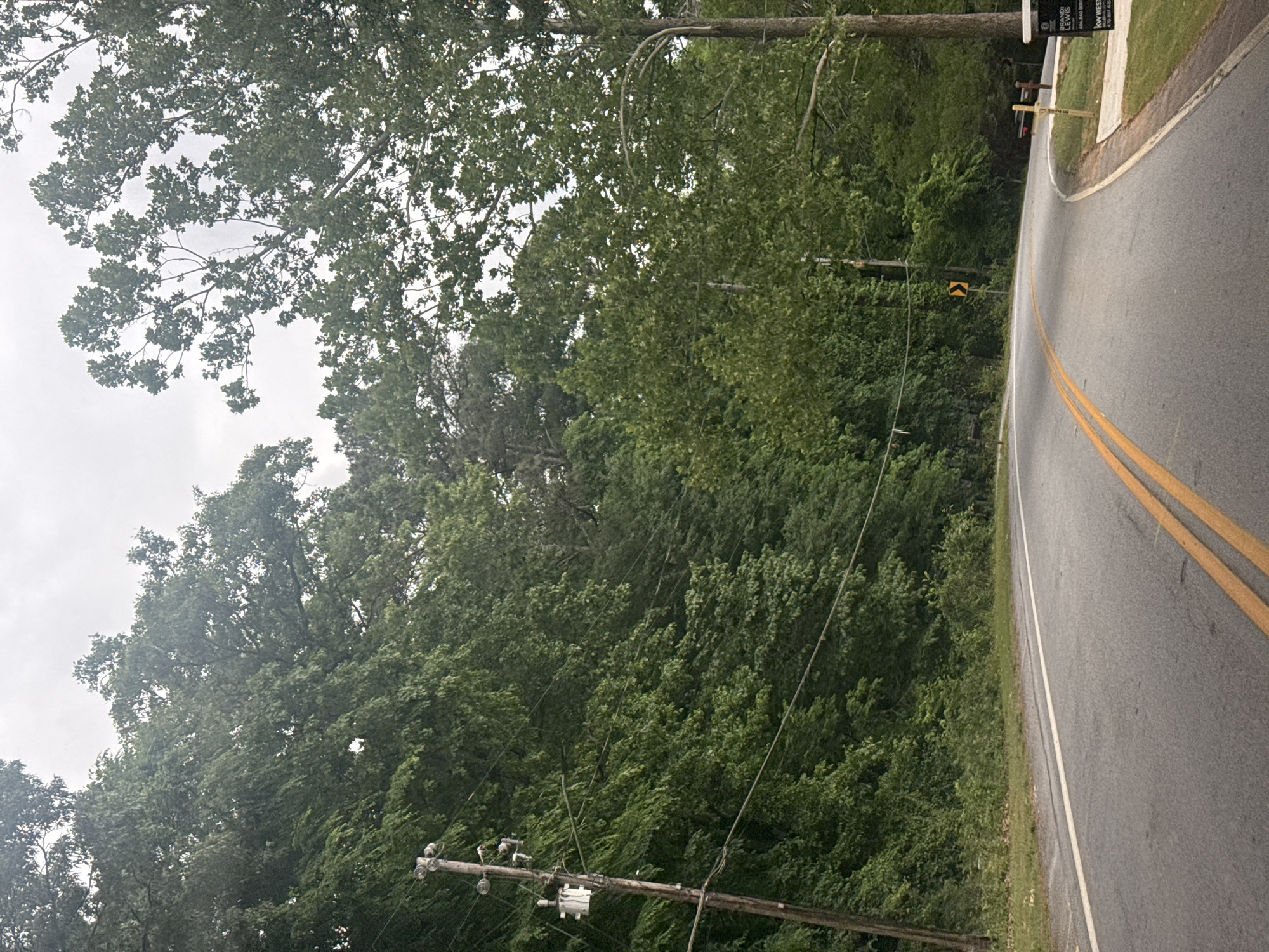 The image depicts a road winding through a wooded area, likely in Mountain Park, USA. The road is paved with a gray surface and features double yellow lines down the center. To the right of the road, there's a narrow grassy verge. A sign is present on the right side of the road, displaying what seems to be real estate advertisement. Lush green trees and foliage dominate the landscape on the left side of the road. A utility pole with wires is visible along the left side. The sky is overcast, suggesting a cloudy day.
