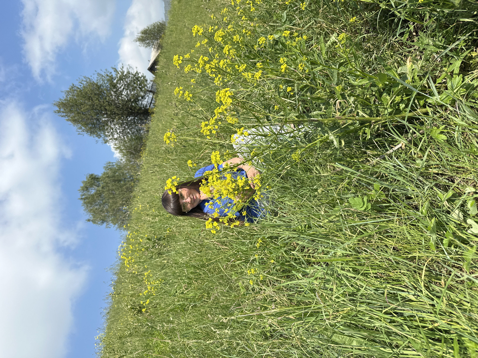 A young female with dark hair and glasses is sitting in tall green grass with yellow wildflowers in Buranovo, Russia. She is wearing a blue shirt and white pants and holding a bouquet of yellow flowers. In the background, there are trees and a small house on a hill under a blue sky with white clouds. The scene appears to be a sunny day in a rural area.