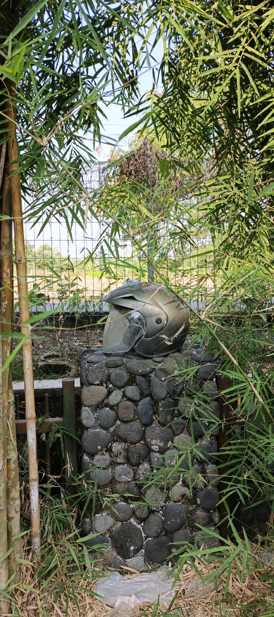 A worn, olive-green motorcycle helmet with a clear visor rests on a roughly built stone pillar in an outdoor setting. The pillar is constructed from various dark gray, rounded river stones cemented together. Lush green bamboo stalks and leaves frame the scene, with some dry, fallen bamboo leaves at the base of the pillar. A chain-link fence is visible behind the pillar, with a hint of green foliage and a distant field under a bright sky. Plastic litter is present on the ground near the pillar. The location is identified as Trihanggo, Indonesia.