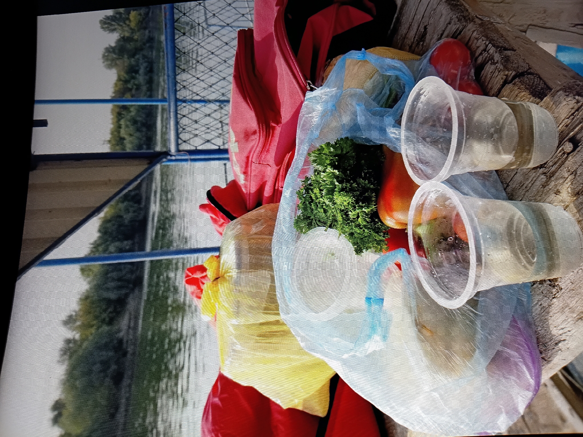 A still life photograph shows a collection of groceries and life vests on a wooden surface, likely a dock or boat deck, with a body of water and a tree-lined shore in the background. The groceries are contained in plastic bags and include a bunch of leafy green vegetables, a red tomato, and other items obscured by the packaging. Two clear plastic cups, each partially filled with a light-colored liquid, sit in the foreground. Several red life vests are piled behind the groceries, along with a yellow bag. The scene suggests an outdoor recreational setting, possibly on the Dniester River in Tiraspol, Moldova.