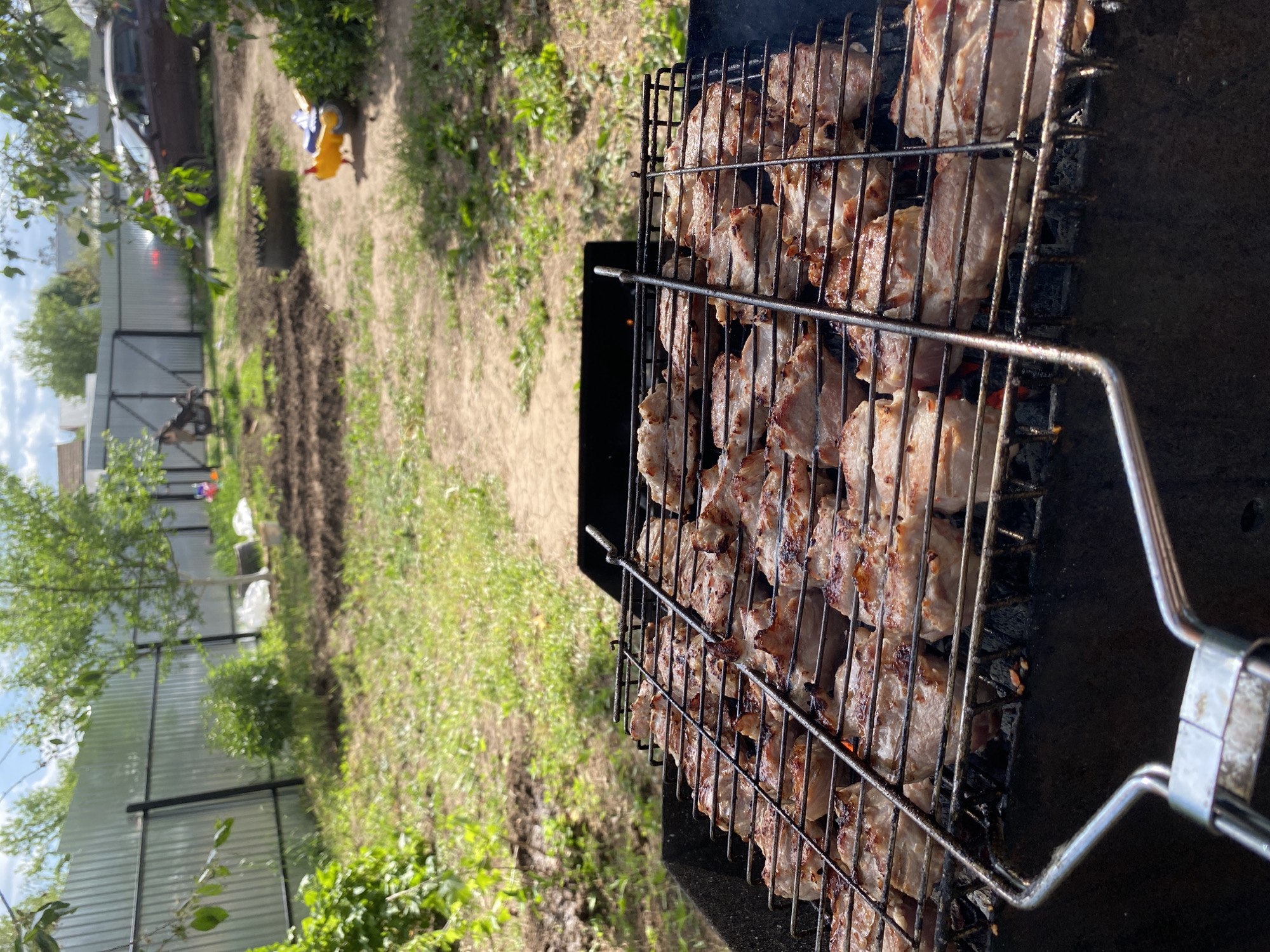 The image shows a barbecue grill filled with pieces of meat, presumably pork or similar, cooking outdoors. The grill appears to be a standard portable model, with a wire mesh holding the meat over the heat source, which is not directly visible but implied by the cooking. The meat is arranged densely on the grill.
The background suggests a backyard setting. There's a fence running along the property line, and a garden area with some vegetation. In the distance, there are glimpses of what could be a vehicle and other backyard objects. The overall environment seems to be a suburban or rural residential area. It’s not possible to determine if the location is in Chaikovsky, Russia based on visual information alone.
