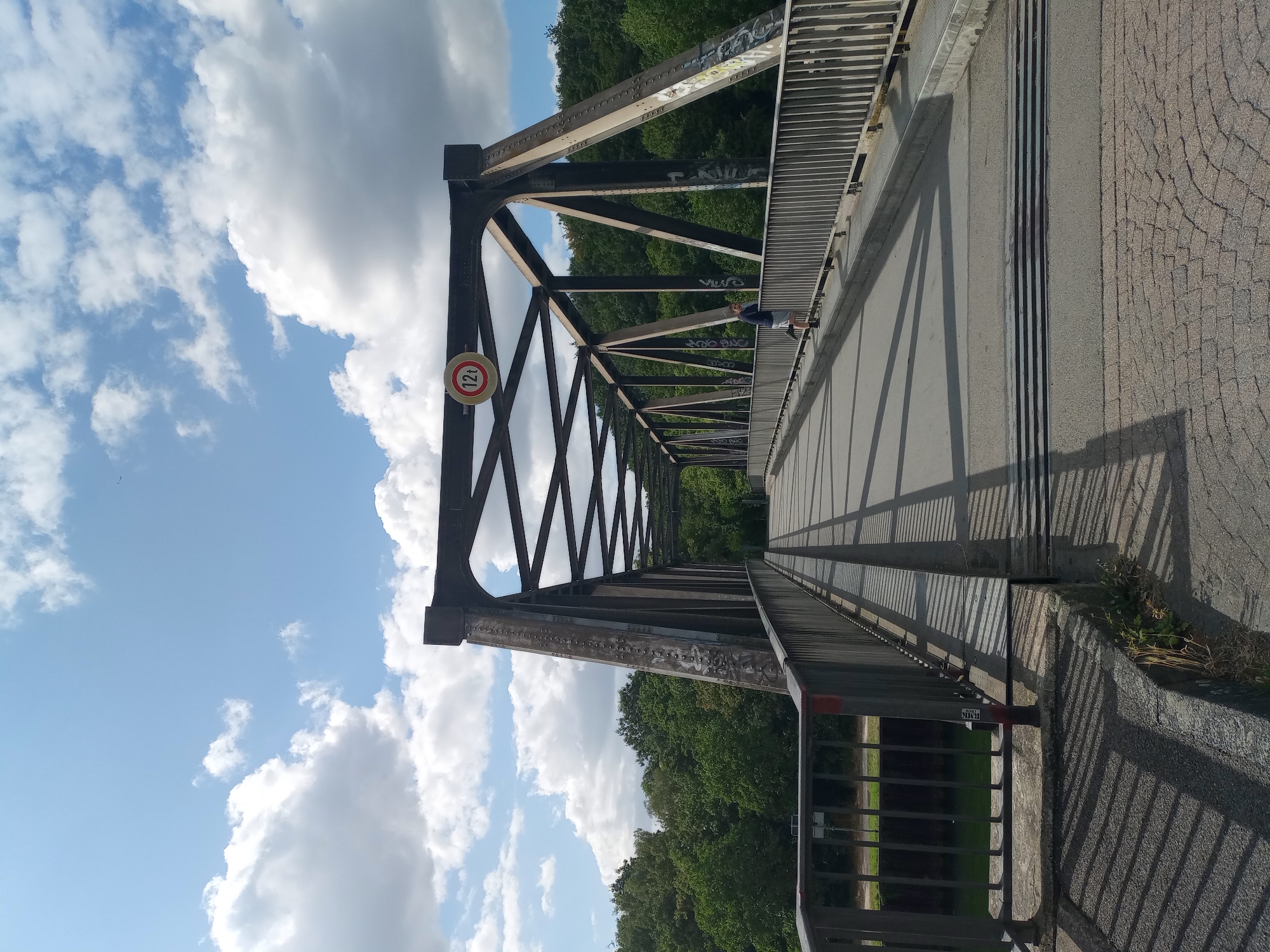 A person is standing on a bridge, looking at the view. The bridge is made of metal and has a walkway. The bridge is surrounded by trees and a cloudy sky. A sign on the bridge indicates a weight limit of 12 tons.
