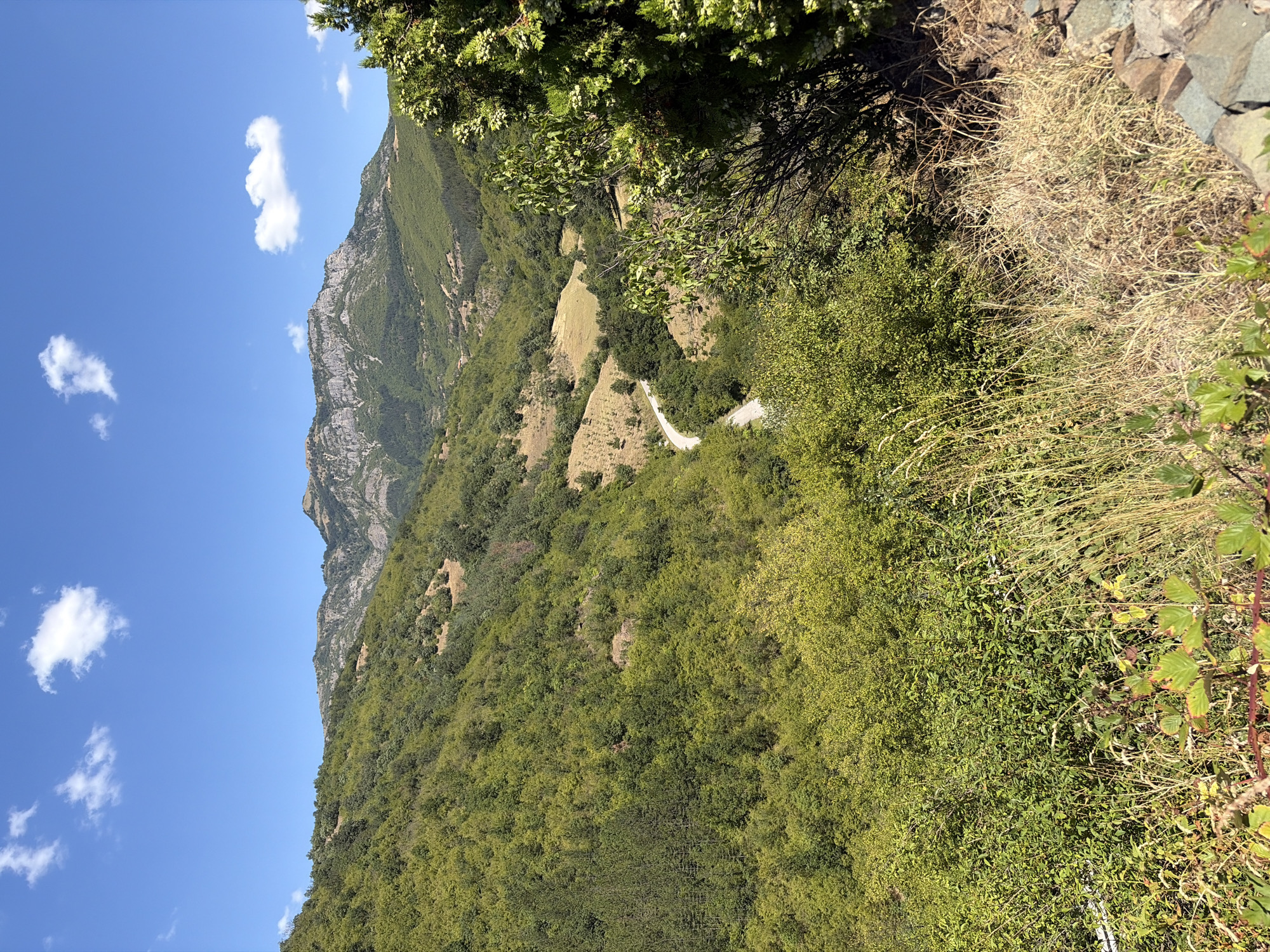 The image shows a rural landscape with rolling green hills and a winding road. In the foreground, there is lush vegetation and dry grass. A large mountain range is visible in the background under a blue sky with scattered clouds. The location appears to be in a mountainous region, possibly in or near Eliseyna, Bulgaria. There are no people or animals visible in the image. The scene is peaceful and natural, with the road suggesting human presence and passage through the otherwise untouched landscape.