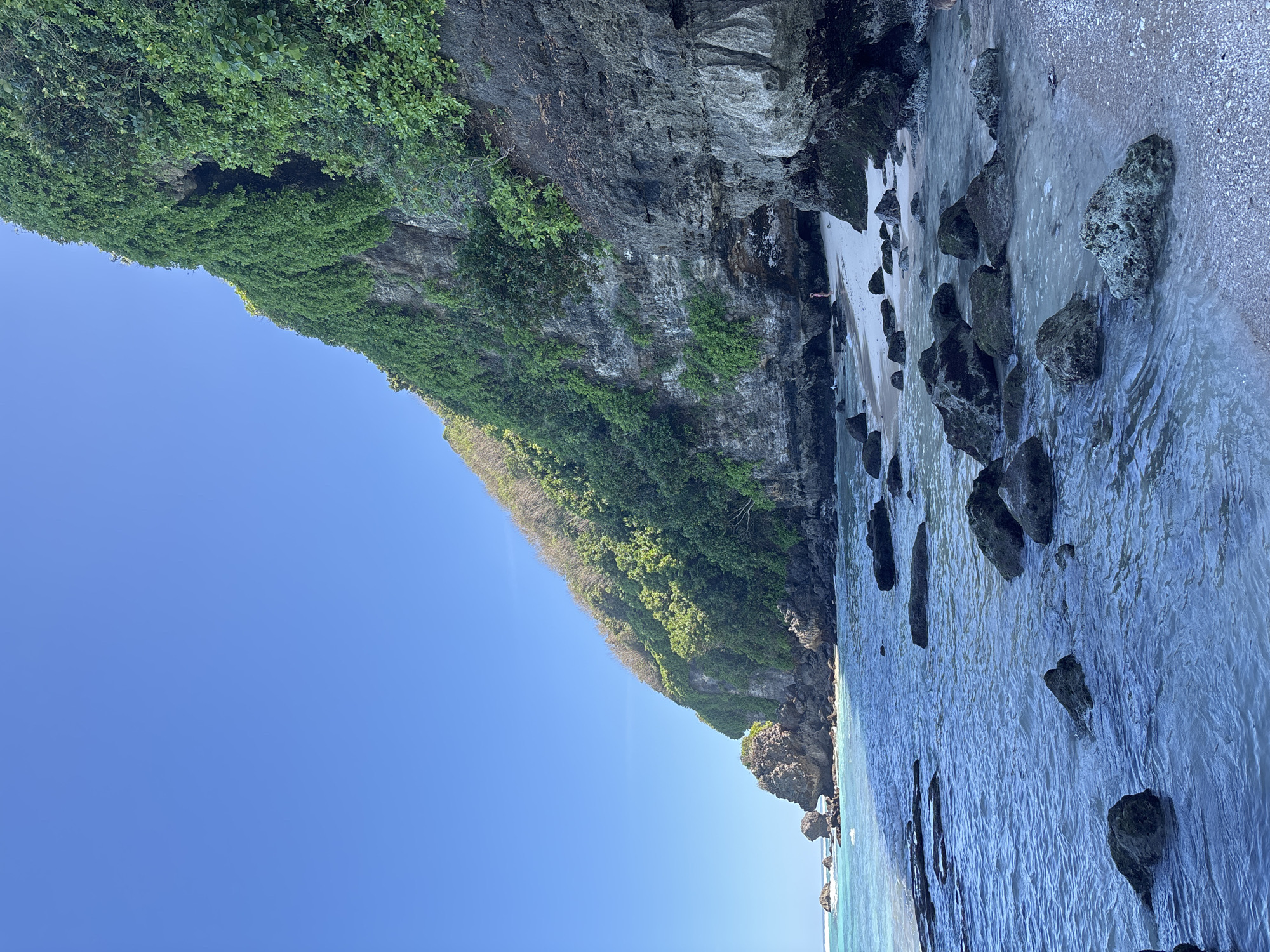 The image depicts a beach scene in Kuta Selatan, Indonesia. A steep cliff face covered in dense green vegetation dominates the left side of the image. Below the cliff, a rocky shoreline transitions into a sandy beach where water from the ocean washes ashore. Several dark, large rocks are scattered along the shoreline, partially submerged in the water. The sky is clear and blue. There are no visible people.