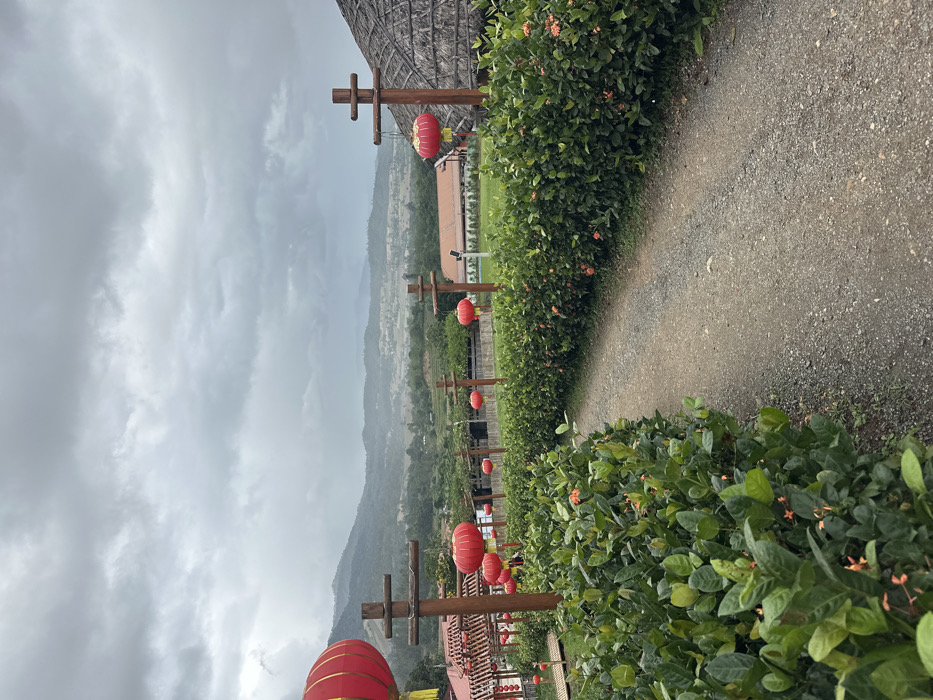 The scene depicts an outdoor pathway within Ban Mai Saha Sampan, Thailand, under an overcast sky. A gravel path curves slightly to the right, originating from the lower foreground and extending towards the middle ground. Both sides of the path are lined with dense, dark green bushes featuring small, scattered orange-red flowers. Numerous red Chinese-style lanterns with gold trim are suspended from a series of rustic, dark wooden posts arranged in a line alongside the path.
On the far left, a large red lantern is partially visible, obscuring part of a structure with a reddish-brown roof and wooden supports. On the far right, another large red lantern hangs adjacent to a conical thatched roof structure. Further in the middle ground, beyond the path and greenery, multiple buildings with brown roofs are discernible amidst a backdrop of green fields and foliage.
The background features a panorama of rolling hills and mountains under a uniformly grey, cloudy sky. No individuals are present in the visible area. The environment indicates an outdoor setting, likely a decorative garden or cultural area, with mountainous terrain in the distance.