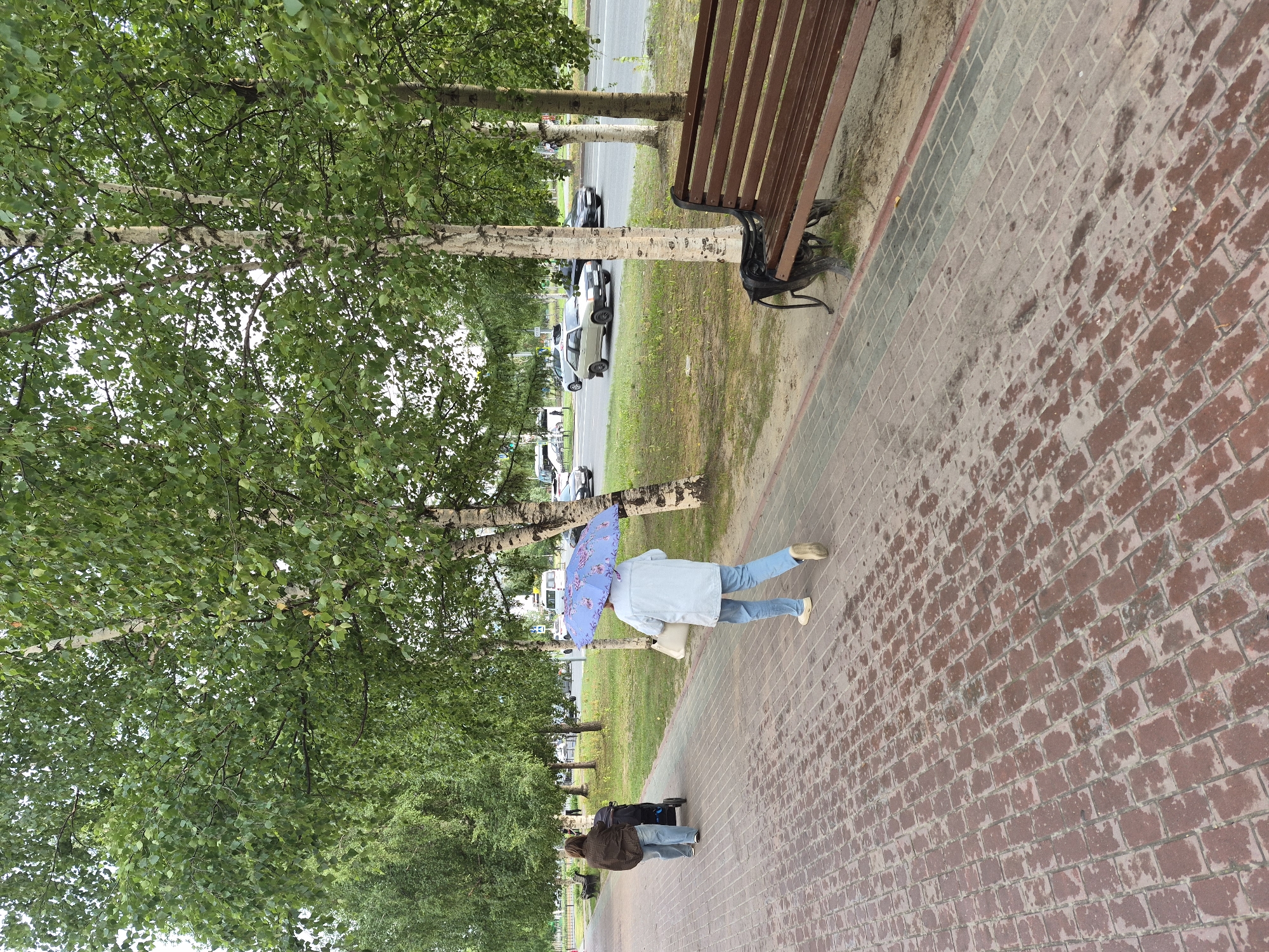 The image depicts a wet, red-brick sidewalk in Nyagan, Russia, bordered by a grassy area and a row of birch trees. A paved road with moving vehicles is visible beyond the trees. Two people are walking away from the camera on the sidewalk. The person in the foreground is holding a large, blue umbrella with a floral pattern and carrying a white bag. They are wearing a light-colored jacket and blue jeans. The second person, further down the sidewalk, is pushing a dark stroller and wearing a brown jacket and blue jeans. A brown wooden park bench with dark metal legs is situated in the grassy area to the right of the sidewalk. The overall scene suggests a slightly overcast or rainy day.