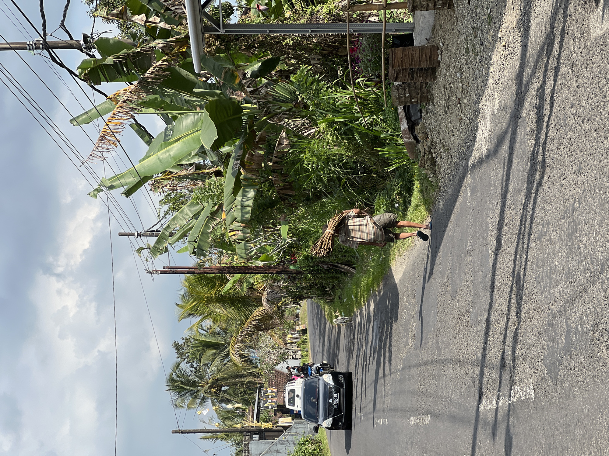 This is a photograph taken in the city of Pupuan, Indonesia. The image captures a street scene with a person walking down the middle of the road carrying a large bundle of wood on their shoulders. The individual is wearing a checkered shirt and shorts, and appears to be walking away from the camera. To the left of the road, a black car is driving towards the camera, with a white van and a motorcycle visible further up the road. A small dog is also present on the side of the road. The environment is lush and tropical, with numerous banana trees and palm trees lining the street. Power lines are visible overhead, suggesting the presence of electricity. The road itself appears to be asphalt and shows signs of wear and tear, with visible potholes. The sky is partly cloudy, with sunlight casting shadows on the road. The overall impression is of a rural or semi-rural setting in a tropical climate.