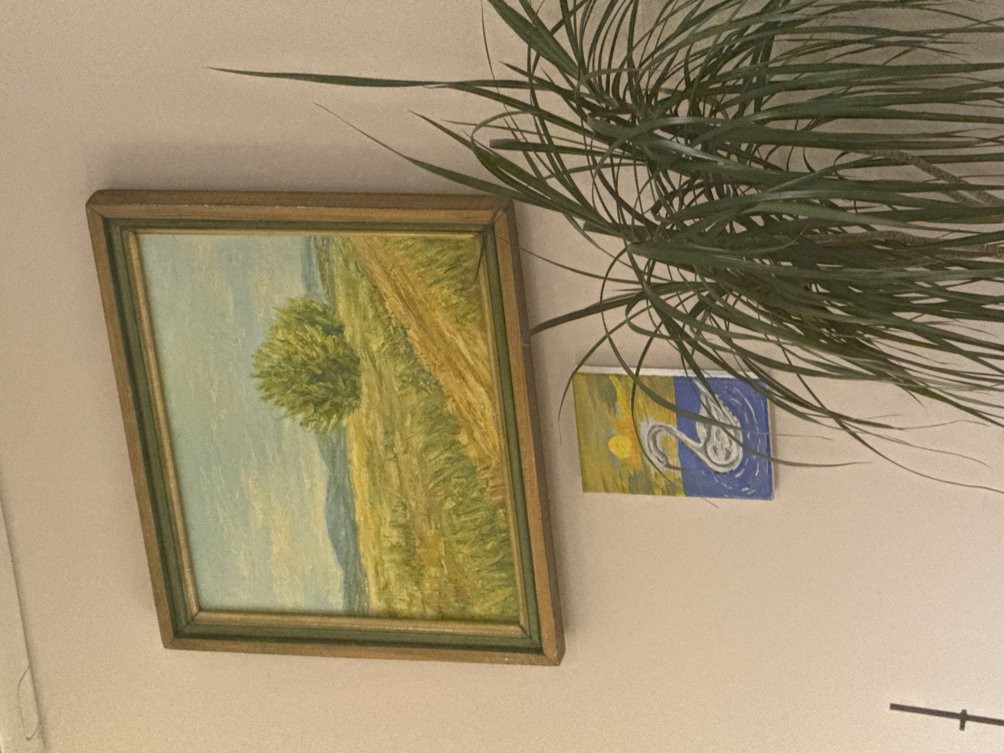 A framed painting of a landscape hangs on a beige wall, next to a smaller square painting depicting a swan in a blue circle. A large, spiky green plant obscures the top right of the image. There are no people visible. The location is unknown and there is no indication that the image was taken in Sofia, Bulgaria.