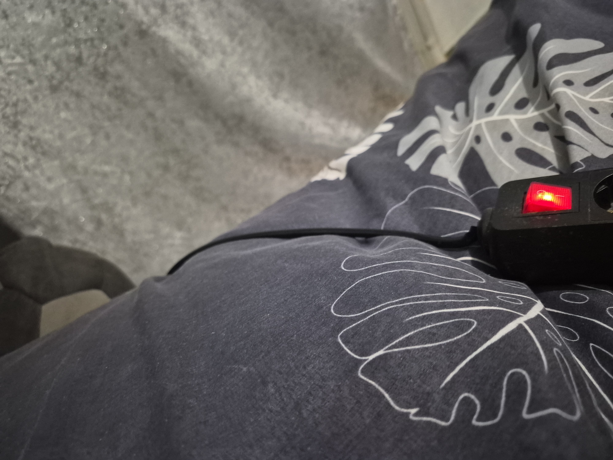 The image captures a close-up, angled view of a power strip resting on a dark grey fabric. The black power strip features a prominent red illuminated power switch on its right side, indicating it is currently switched on. A black power cable is visible, extending from the power strip and draped across the fabric.
The fabric itself is dark grey or black and adorned with a distinct white outline pattern of Monstera leaves. This suggests it is likely a bedsheet, duvet cover, or another type of textile furnishing. The background consists of a blurry, light grey, textured surface, which could be a wall or another object out of focus.
The lighting in the image appears dim, enhancing the prominence of the glowing red switch. No human presence or activity is depicted. The scene suggests an indoor setting, possibly a bedroom or a cozy living space, located in Yerevan, Armenia. There is no visible text within the image.