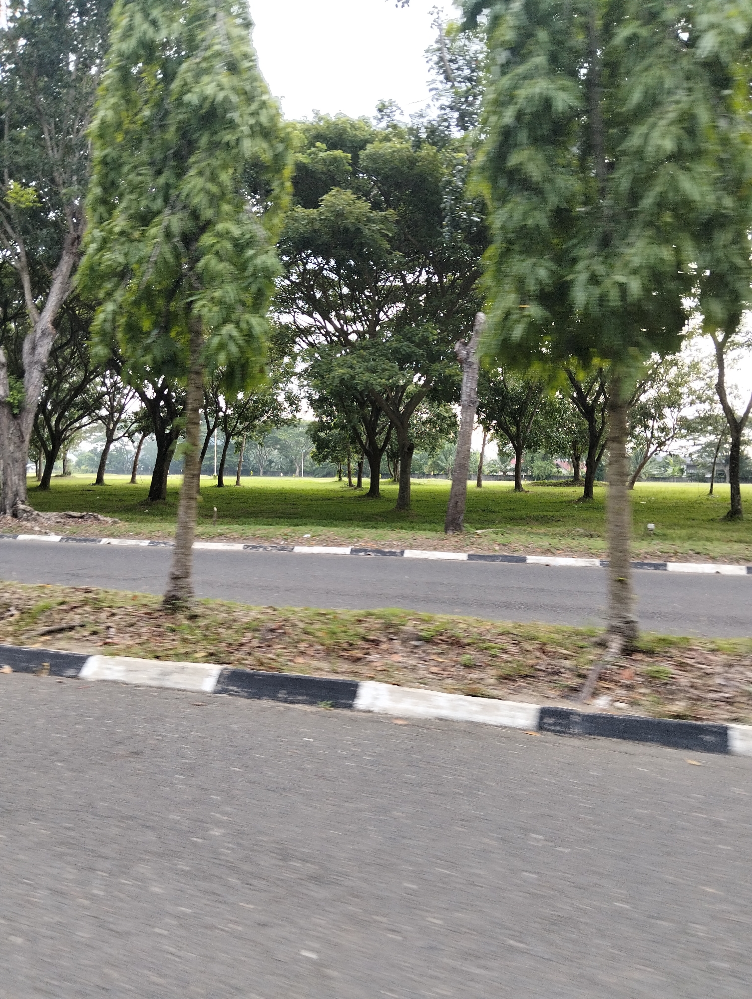 The image shows a roadside view of a park area in Tambontunong, Indonesia. In the foreground, a paved road is visible with a curb lined with black and white alternating segments. Beyond the curb, a grassy area with scattered trees stretches into the background. Several tall, slender trees with dense green foliage are prominently featured on the left and right sides of the frame, appearing somewhat blurred due to motion. The background reveals a wider expanse of a well-maintained lawn dotted with more trees, and in the far distance, hints of buildings and possibly more distant trees are discernible under an overcast sky. The overall impression is one of a peaceful, green urban park space.