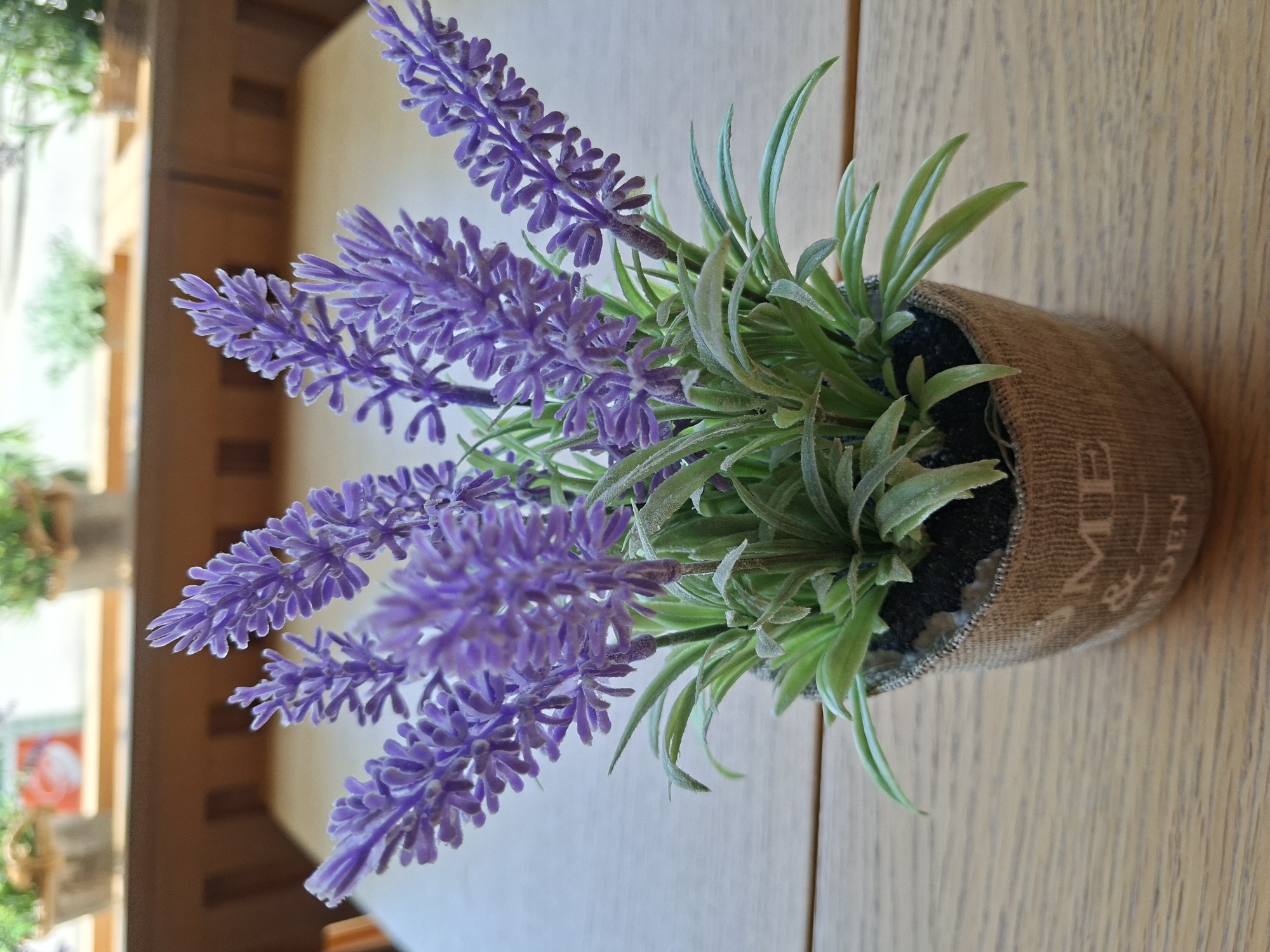 A close-up shows a potted lavender plant set on a light-brown wooden surface. The plant features multiple stems of purple lavender blooms surrounded by slender green leaves. The pot is covered in a burlap-like material with printed words. In the blurred background, there's a hint of what appears to be the interior of a building or a window with glimpses of greenery and some architectural details that might suggest an urban setting, but without further information, it's impossible to verify it being in Plovdiv, Bulgaria. There are no people visible in the frame.