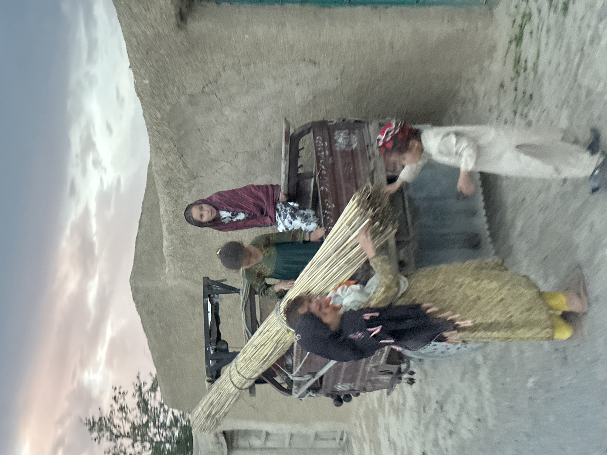 The image captures a scene in a rural or semi-rural setting, likely during the late afternoon or early evening under a cloudy sky. Several people, mostly women and children, are gathered around a small, utilitarian vehicle that is heavily loaded with long, bundled reeds or sticks.
In the foreground and mid-ground, a young woman or girl wearing a red long-sleeved top and a floral skirt stands to the left of the vehicle, looking towards the camera. Behind her, another woman in a dark green patterned dress is positioned closer to the reeds. A third individual, wearing a black top, is actively holding onto the large bundle of reeds, suggesting they are either loading or unloading them. To the right, a young child in a white tunic and a red and white patterned head covering is seen reaching into the bed of the vehicle. Another person in a light brown or yellow garment is partially visible further to the right.
The vehicle appears to be a small truck or cart, possibly made of wood and metal, with some decorative or structural elements on its side. Faint, illegible text, which seems to be in a non-Latin script, is visible on the vehicle's panel. The background consists of simple, light-colored buildings with rough, textured walls, characteristic of modest or traditional construction. A tree or some foliage is visible on the far left, bordering the cloudy sky. The overall scene depicts communal activity involving work and transport of natural materials.