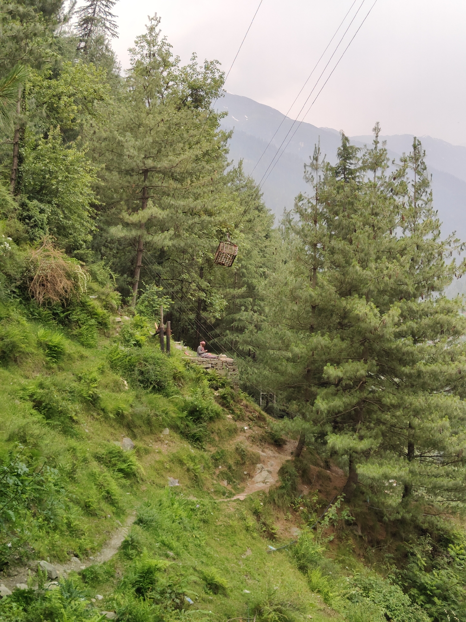 This image depicts a steep, verdant hillside in the vicinity of Vashisht, India, characterized by dense coniferous trees and lush green vegetation. A narrow, winding dirt path is visible traversing the slope. In the mid-ground, a person, dressed in a reddish-pink garment, is seated on a stone structure, possibly a bench or wall, adjacent to a wooden pole. Above and to the left of the seated individual, a rudimentary, cage-like structure made of wicker or similar material is suspended from a series of cables, suggesting it is part of a pulley system or a simple form of transport across the terrain. The background reveals hazy mountain ranges under an overcast sky, with additional power lines stretching across the frame. The overall scene conveys a sense of natural beauty and a rustic, possibly remote, setting.