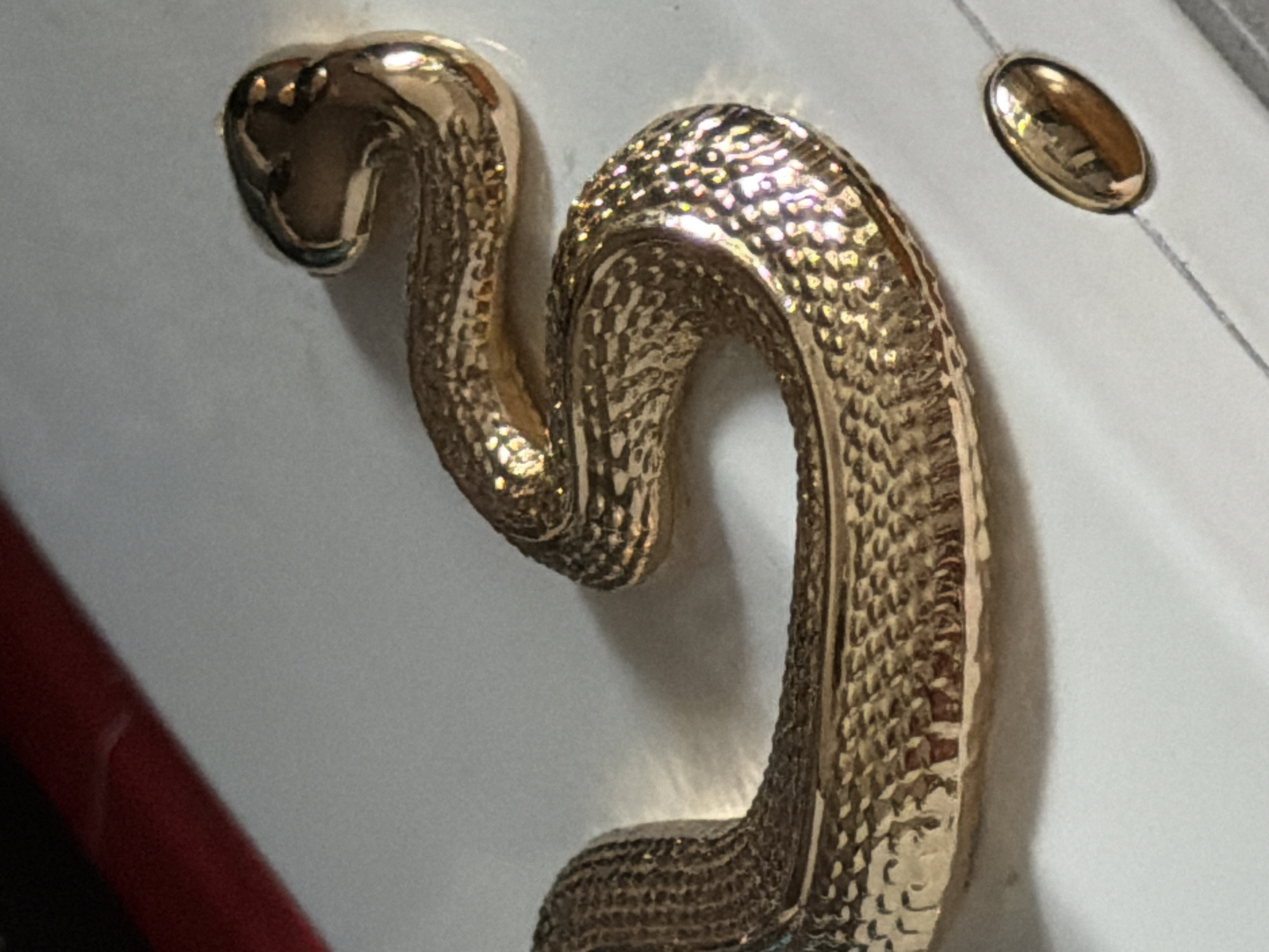 A close-up photograph shows a gold-colored, serpentine metal handle or decoration affixed to a white surface. The object's texture resembles scales. A small, oval, metallic component is visible on the right side of the frame. Part of a red object is visible at the lower left. There is no indication in the image of a location within the city of Moscow, Russia.