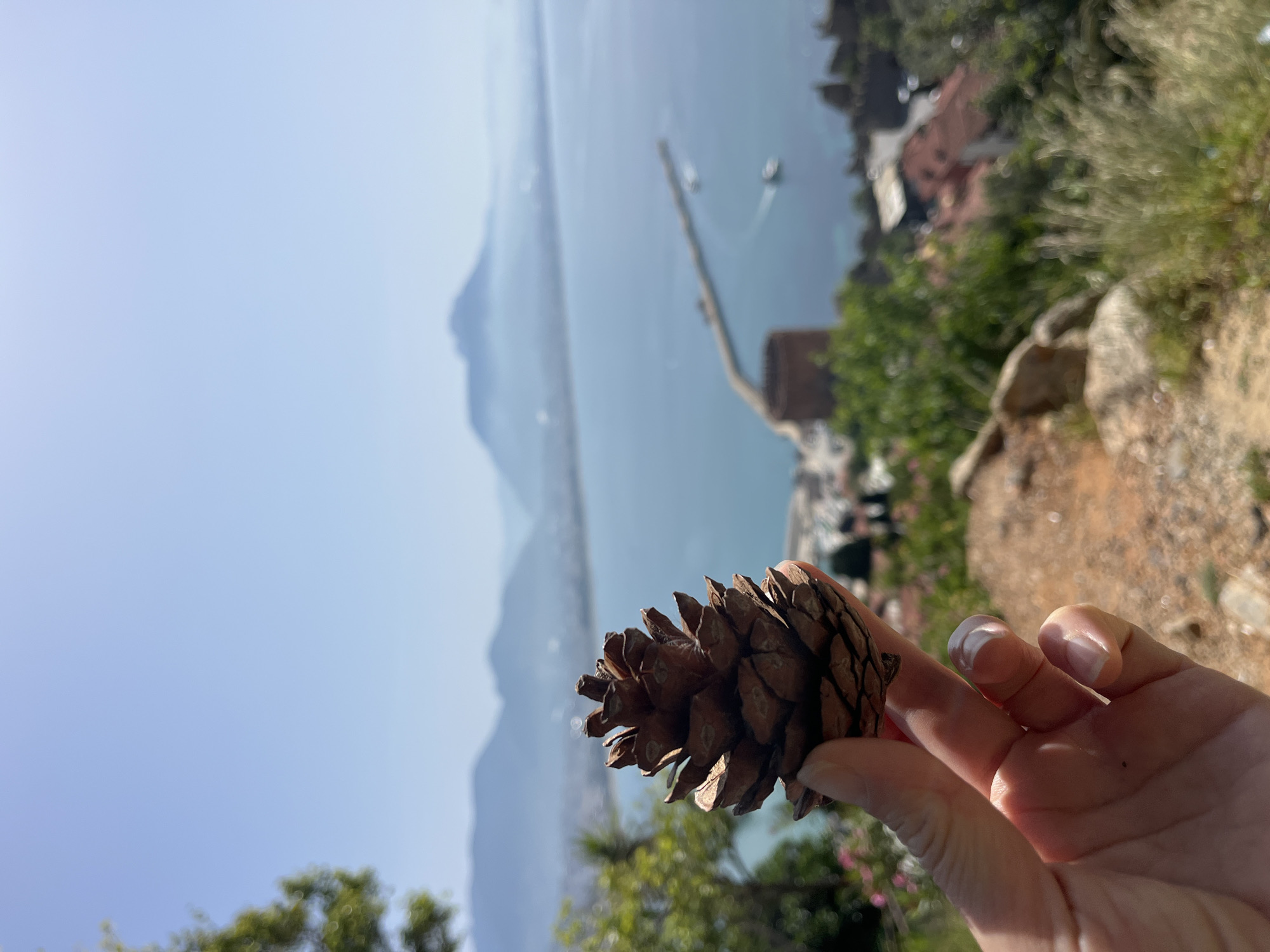 A hand holds a pine cone in focus in the foreground. In the background is a view of the city of Alanya, Turkey. The sea and a pier are visible in the distance. There are buildings and vegetation on a hill. The sky is light blue. The hand is fair-skinned with manicured nails.
