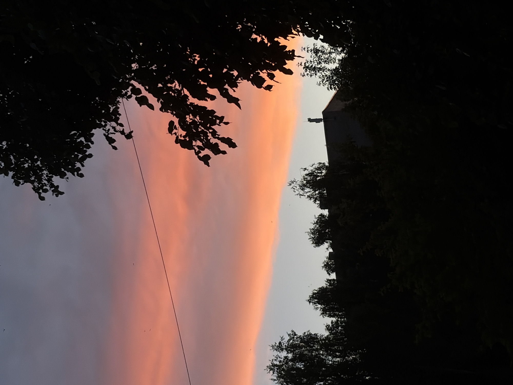 The image captures a vibrant sky at either sunrise or sunset, dominated by a horizontal band of bright pink and orange clouds. This colorful band transitions to a softer grey or light blue sky towards the bottom. Dark silhouettes of tree foliage frame the scene from the top and bottom, with distinct leaves and branches visible against the light. On the bottom right, the dark silhouette of a building or house, featuring what appears to be a chimney or vent pipe on its roofline, stands against the lighter sky. A thin, dark power line stretches diagonally from the top left across the frame. Several small, dark specks, likely birds, are scattered across the sky. The low light creates a strong silhouette effect, emphasizing the contrast between the dark foreground elements and the dramatically lit sky. No text is visible.