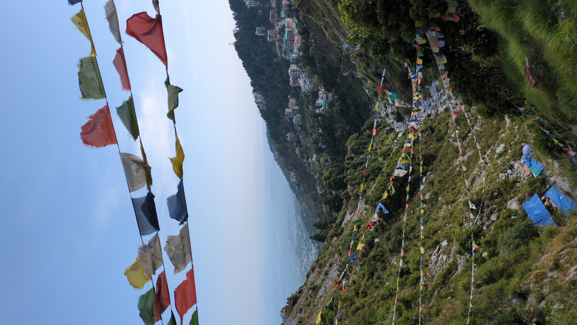 The image shows a mountainside in Bhagsu, India, adorned with numerous strings of colorful Tibetan prayer flags. The flags are predominantly red, yellow, green, blue, and white. The mountainside is covered in vegetation, including trees, shrubs, and grass. The flags are strung across the landscape. The valley below is visible. A few buildings can be seen on the side of a mountain.
