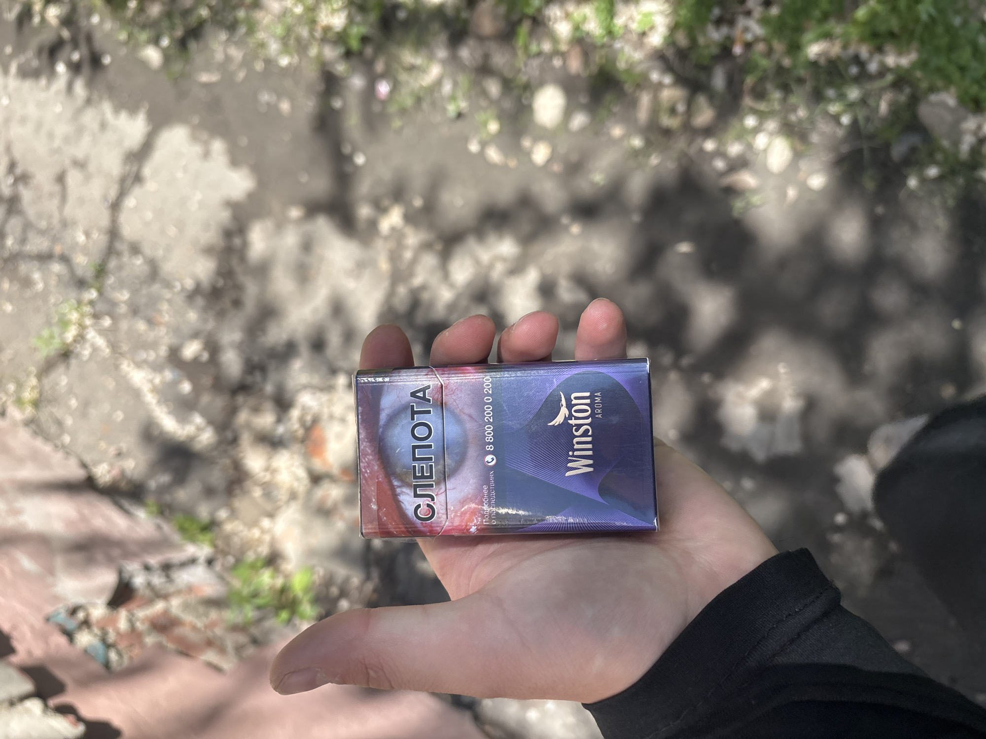 An overhead shot shows a person's left hand holding a pack of cigarettes against a blurry outdoor background. The hand is positioned centrally in the frame, slightly angled, with the fingers grasping the top and bottom edges of the cigarette pack. The person is wearing a black long-sleeved garment, visible around the wrist.
The cigarette pack is predominantly dark purple with red accents. On the left side, there is a prominent graphic of a bloodshot eye. Above this image, a large warning in Cyrillic reads "СЛЕПОТА" (SLEPOTA), which translates to "BLINDNESS". Below this, a phone number "8 800 200 0 200" is visible, along with smaller Cyrillic text "Подробнее о последствиях" (More about the consequences). On the right side of the pack, the brand name "Winston" is clearly displayed in white lettering, with a bird logo above it and the word "AROMA" below.
The background is out of focus but appears to be outdoor ground, possibly a dirt path or broken concrete, with patches of green foliage and light-colored debris suggesting a natural, unpaved area. The lighting indicates it is daytime, with shadows and highlights suggesting direct sunlight. No specific geographic location or time of day beyond "daytime" can be determined. There are no discernible emotions conveyed.