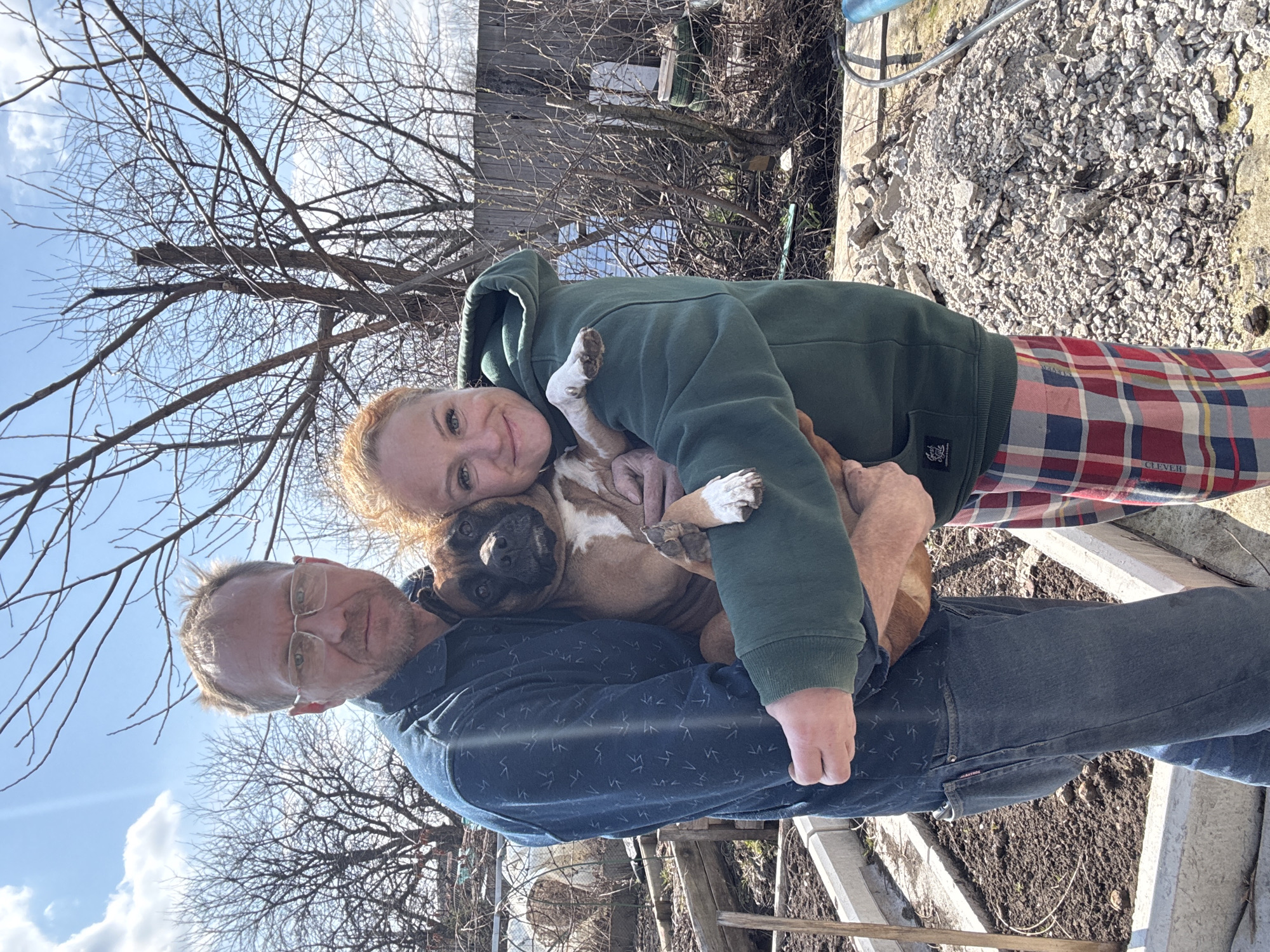 This is an outdoor portrait featuring two people and a dog, set in what appears to be a backyard or garden in Chaikovsky, Russia. The image is taken in bright daylight under a clear blue sky with some white clouds, suggesting a sunny day in late winter or early spring due to the bare trees in the background.
In the center, a woman with fair skin, light reddish-blonde hair, and green eyes is smiling directly at the camera. She is wearing a dark green hooded sweatshirt and plaid trousers in red, white, and blue tones, with the word "CLEVER" partially visible on the right leg. She is holding a medium-sized, brown and white Boxer dog, likely a puppy or young adult, with white markings on its chest, snout, and paws. The dog is looking calmly at the camera.
Beside and slightly in front of the woman is a man with light brown hair, glasses, and a short beard, also smiling faintly towards the camera. He is wearing a dark blue long-sleeved shirt with a subtle pattern and dark blue jeans. His left arm is positioned beneath the dog, supporting it, suggesting both individuals are holding the animal.
The background shows a rustic environment with numerous bare tree branches against the sky, indicating a deciduous forest or garden area. Beyond the subjects, there's a wooden fence, some overgrown vegetation, and patches of disturbed soil or garden beds. To the right, there's a pile of rubble or small stones on the ground. The overall mood is joyful and affectionate, capturing a pleasant moment between the family members and their pet.