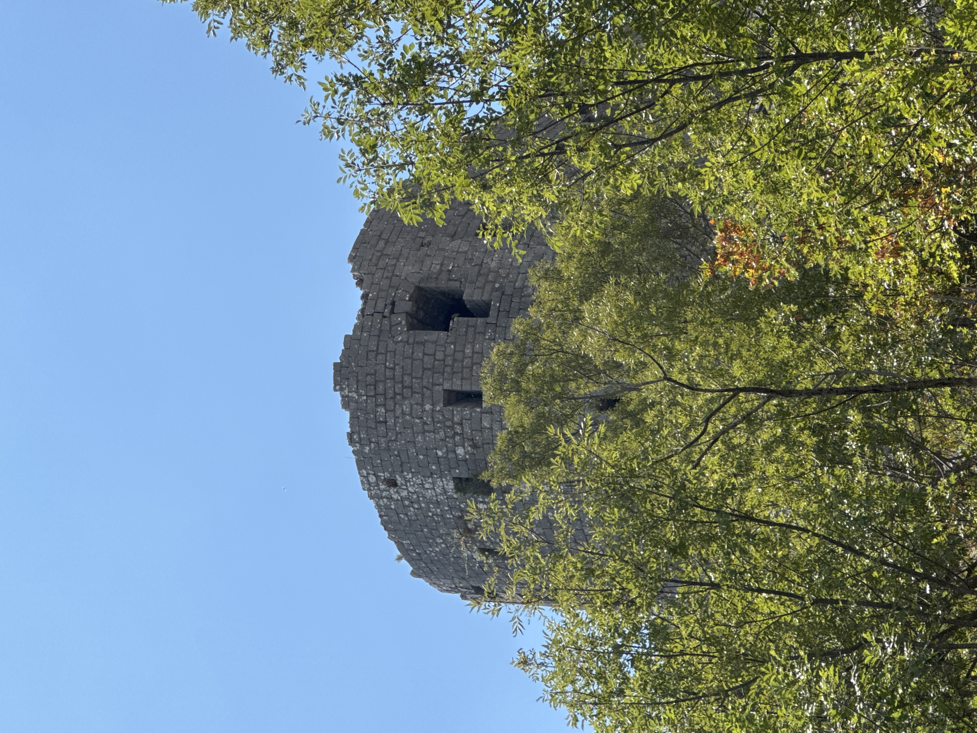 A low-angle, medium shot captures a circular, stone tower peeking through lush green foliage under a clear, bright blue sky. The tower, made of grey, roughly hewn stone blocks, has a weathered appearance, with some sections of its upper rim appearing broken or incomplete. Several rectangular openings, reminiscent of windows or arrow slits, are visible on its curved surface. The foreground is dominated by the dense canopy of trees, their leaves a vibrant green, with some branches extending into the frame. The sunlight illuminates the leaves, creating a dappled effect and highlighting the textures of both the vegetation and the ancient stonework. The setting appears to be an outdoor, natural environment, with the tower possibly being a historical ruin or fortification. The location is identified as Brajici, Montenegro.
