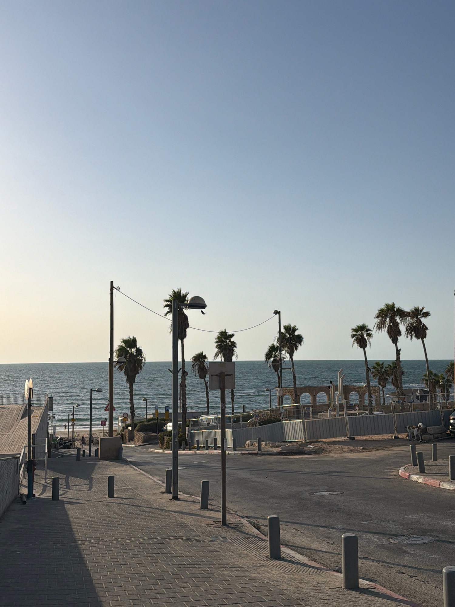 The image captures a street scene with the sea in the background, likely in Tel Aviv, Israel, given the presence of palm trees and the coastal setting. A paved walkway runs along the left side of the frame, casting a long shadow from streetlights. A road curves to the right, with a sidewalk and more bollards.
In the background, the Mediterranean Sea stretches to the horizon under a clear, pale blue sky. A line of palm trees is visible along the coastline, some appearing to be in good condition while others look weathered. Behind the trees, there are architectural ruins, possibly an ancient structure, with arched openings.
Several streetlights with a dome-shaped fixture are positioned along the road and walkway. There are also several grey bollards lining the edge of the road and sidewalk. A parked car is partially visible on the right side of the road.
Two dogs, one white and brown and the other brown, are standing near the architectural ruins. Further down the beach, a few people can be seen walking near the water. A motorcycle and bicycles are parked on the left side of the road near the beach access. The overall scene suggests a coastal urban environment on a clear day, likely in the late afternoon or early morning, given the lighting.
