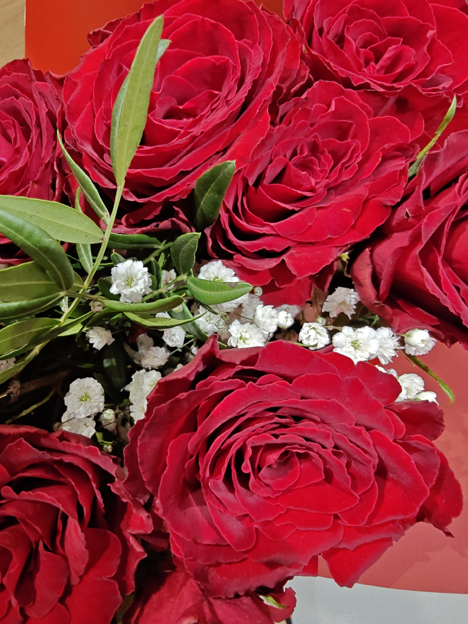 A close-up, high-angle shot captures a bouquet of vibrant red roses and delicate white baby's breath flowers, arranged against a plain red background. The roses are in full bloom, showcasing their velvety petals and intricate layers. Green leaves and stems are interspersed throughout the bouquet, adding a touch of natural contrast. The lighting is soft, highlighting the textures and rich colors of the flowers. The scene appears to be indoors, possibly in a studio setting or a well-lit room, with no discernible elements of a specific city or outdoor environment. There are no people or actions depicted in the image.