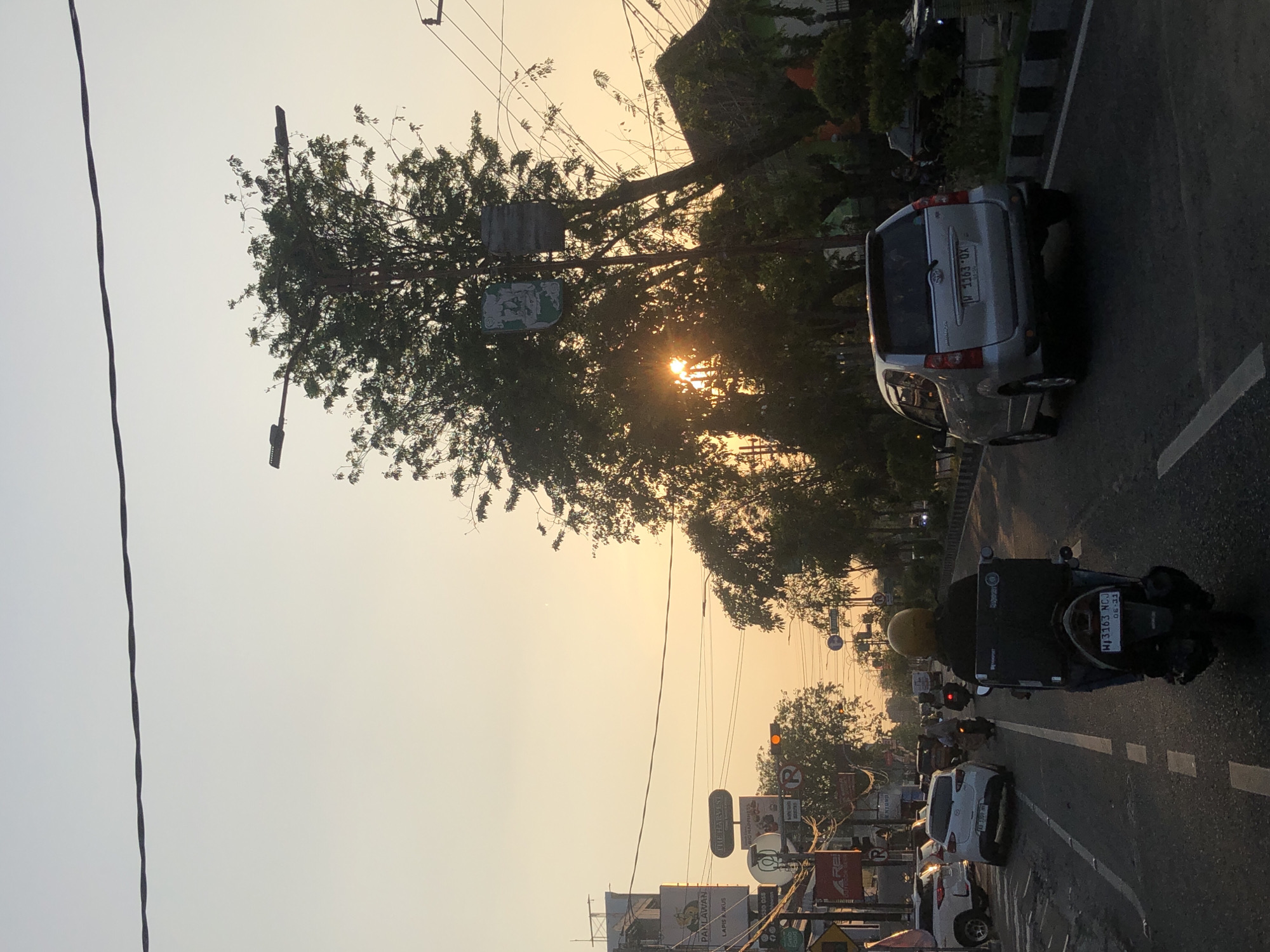 The image depicts a street scene in Sidoarjo, Indonesia, during sunset. A motorcycle rider wearing a yellow helmet and a black jacket, carrying a large black box on the back, is in the foreground, traveling on the right side of the road. To the right of the motorcycle, a silver minivan is visible, also in motion. Several other vehicles, including cars and motorcycles, are present on the road. On the left side of the street, a row of buildings with signage is visible. Tall trees line the sides of the road, and their branches are silhouetted against the warm, orange-yellow glow of the setting sun, which is partially obscured by the foliage. Power lines crisscross the sky. The road appears to be asphalt with white lane markings. The overall atmosphere is that of a typical urban street at dusk.