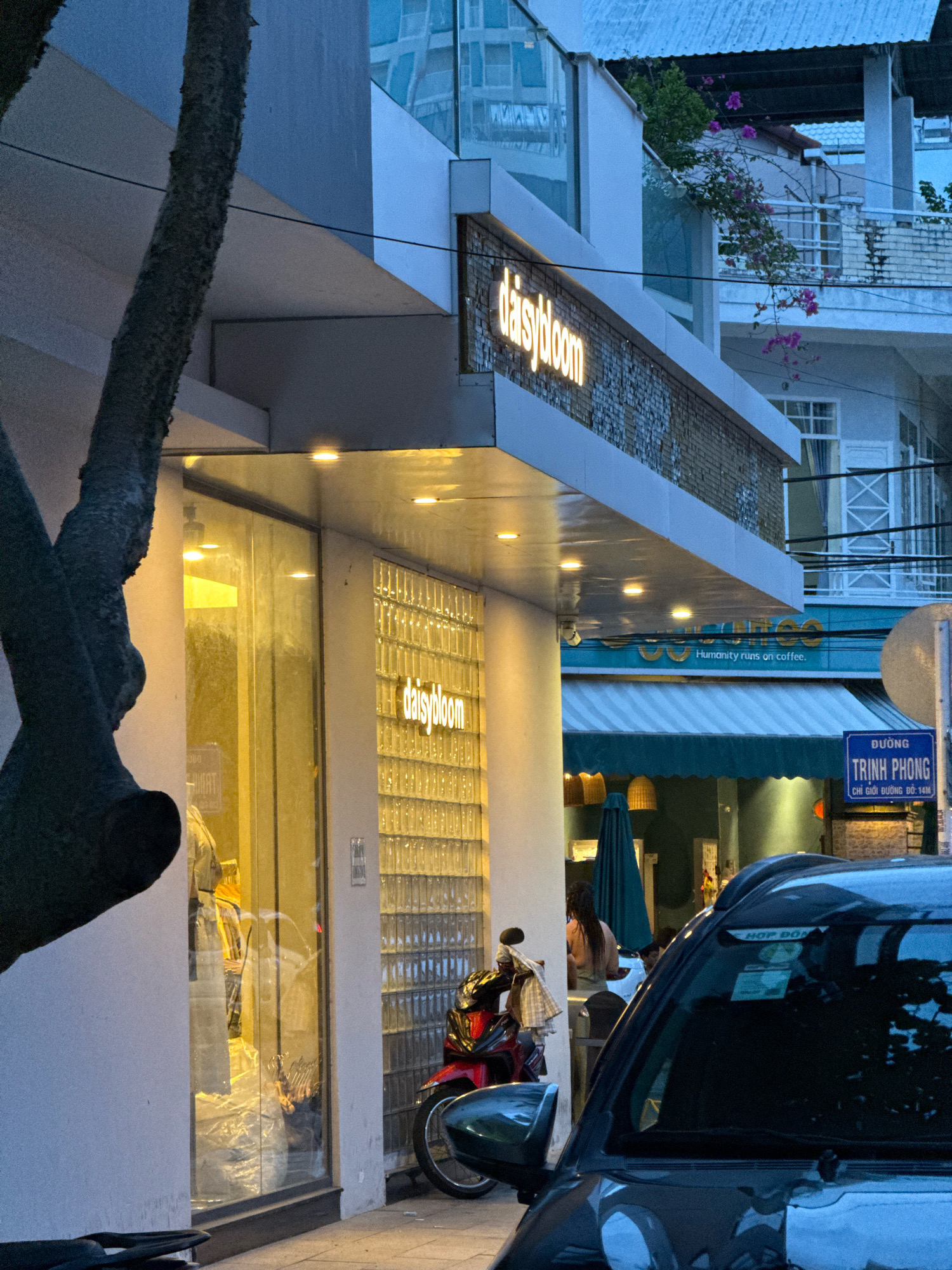 The image captures a street view in Nha Trang, Vietnam, at dusk. A storefront with the illuminated sign "daisybloom" is prominently featured. The storefront has a large glass window showcasing mannequins and displays of clothing. Adjacent to the storefront is a textured glass brick wall. A red scooter is parked to the right of the storefront. Further to the right, a blue street sign reads "ĐƯỜNG TRỊNH PHONG". A dark-colored car occupies the foreground, obscuring part of the sidewalk and street. In the background, other buildings are visible, including one with flowering vines. The overall scene depicts an urban commercial setting as evening approaches.