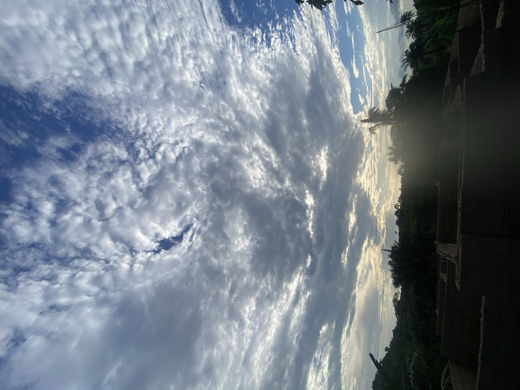 A wide-angle, upward-facing shot captures a dramatic sky over Ufu Esioni, Nigeria. The sky is filled with a complex pattern of clouds, ranging from dense, dark grey formations to wispy, white streaks that catch the sunlight. Patches of vibrant blue sky are visible between the clouds. In the lower portion of the image, a silhouette of lush green vegetation and palm trees forms a dark horizon. In the foreground, the rough, unfinished concrete structure of a building under construction is visible, with rebar protruding from some sections. The overall impression is one of an outdoor scene at dusk or dawn, with a construction site in the foreground and a dynamic sky above.