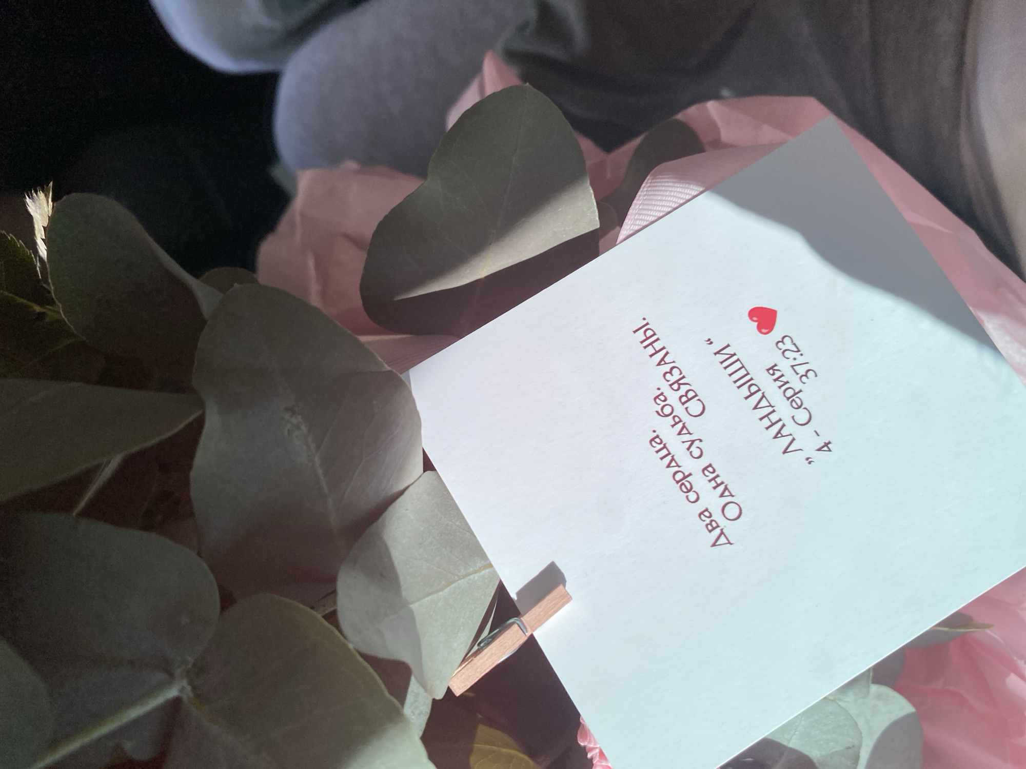 The image shows a close-up of a card with text in Russian, attached to a bouquet of flowers with a small wooden clothespin. The card is white and the text is in a dark red, stylized font. The text reads: "Два сердца. Одна судьба. СВЯЗАНЫ. , ЛАНДЫШИ “ 4 - Серия 37:23". The bouquet appears to be made up of eucalyptus leaves and pink flowers. The background is dark and out of focus, with a person's leg visible on the right side of the frame, wearing grey leggings. The scene is brightly lit, with sunlight casting a shadow on the card. There is no information or context provided within the image to indicate a location in Pavlodar, Kazakhstan.