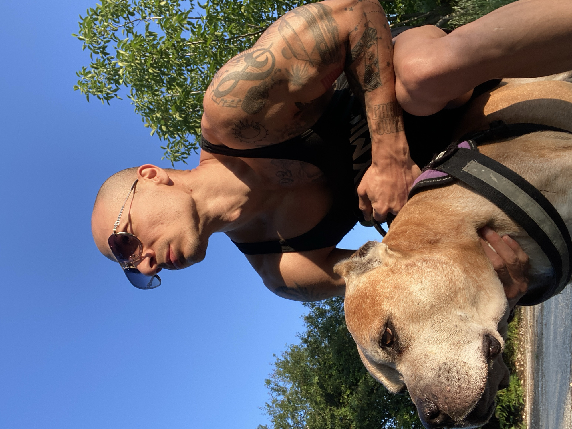 The image, taken from a low angle, features a muscular man and a large dog set against a clear blue sky and green foliage. The man, with a shaved head and dark sunglasses, is seen crouching or leaning down towards the dog, holding its leash. He wears a dark tank top, prominently displaying numerous intricate tattoos covering his arms and shoulders. On his right forearm, text partially legible as "FREE OUR" is visible, along with other pictorial and abstract designs on his arms.
The dog, a large light-brown breed possibly resembling a Pit Bull, wears a dark harness with grey reflective strips and a purple accent near the neck. Its expression is attentive, looking forward or slightly down. Bright sunshine indicates it's daytime, casting clear shadows and illuminating the scene. The lush green leaves of trees are visible in the background, suggesting an outdoor location such as a park or natural path in Pleven, Bulgaria. The man's posture and his hold on the leash imply a moment during a walk or outdoor activity with his dog.