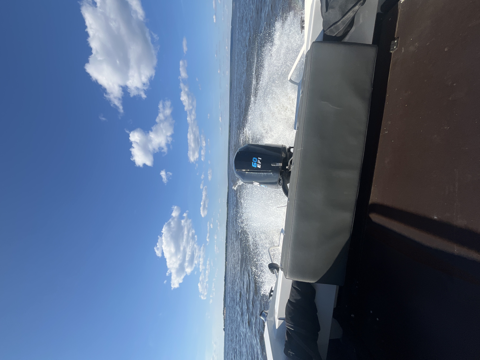 The image shows a motorboat moving through the water, creating a significant wake. The boat has a dark gray upholstered seat and a brown deck. A black outboard motor with "60 EFI" visible in blue lettering is mounted on the back of the boat. The scene is set on a body of water, likely a river or lake, with a tree line visible in the distance. The sky is a clear blue with scattered white clouds. The sunlight suggests it is daytime. The overall impression is one of speed and open water.