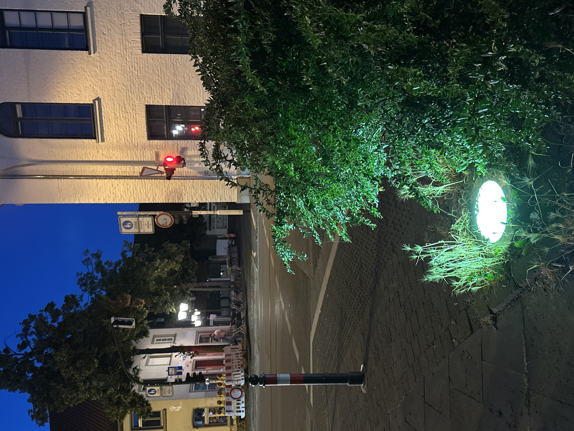 The image captures a street scene at dusk in Krefeld, Germany, at the intersection of Königstraße and Hochstraße. The foreground is dominated by a large, lush green bush illuminated by a bright white spotlight at its base, casting a greenish glow. Beside the bush, on the paved sidewalk, a bollard with red and white stripes stands prominently. In the middle ground, a street corner with a white brick building is visible. A traffic light displays a red signal. Across the street, a building with a red facade and several windows can be seen. Further back, trees line the street, and streetlights illuminate the sidewalk where outdoor seating for a restaurant is set up. Construction barriers with yellow and white stripes are also present on the left side of the street. The sky is a deep blue, indicating late evening.