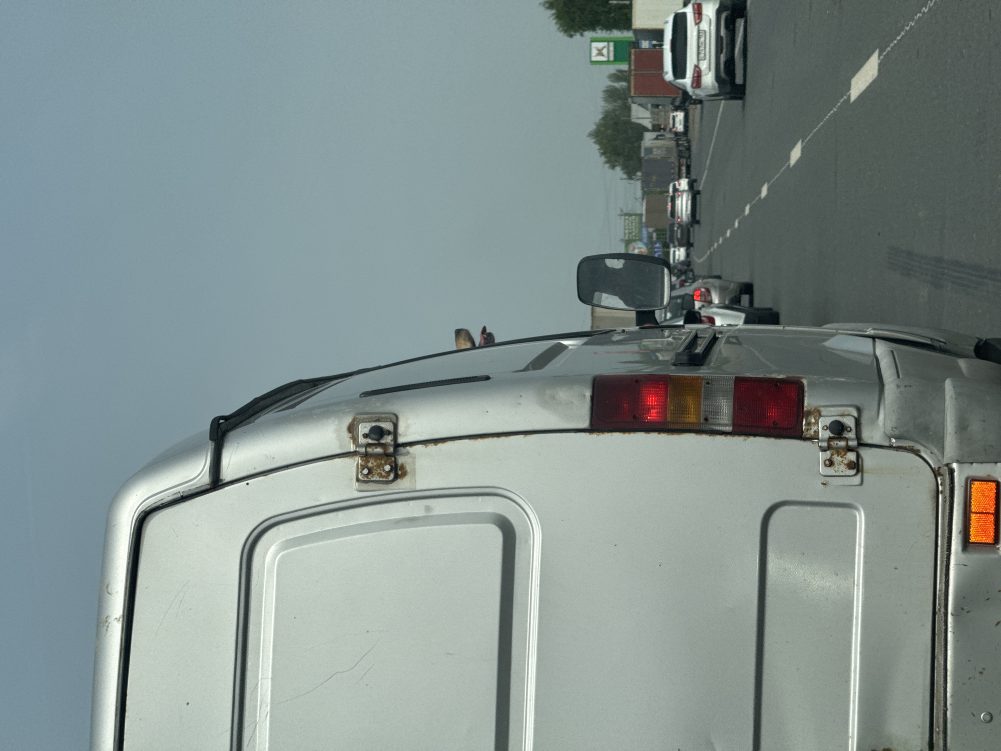 The image depicts the rear of a silver van, with its taillights, hinges, and doors clearly visible. Two small birds are perched on the roof of the van. The van is situated in a traffic jam on a multi-lane road. Several other vehicles are visible in the background, including a white SUV. On the side of the road, there is a gas station, and trees in the background. The sky is overcast. The location appears to be in a city, but the specific city is Unknown.