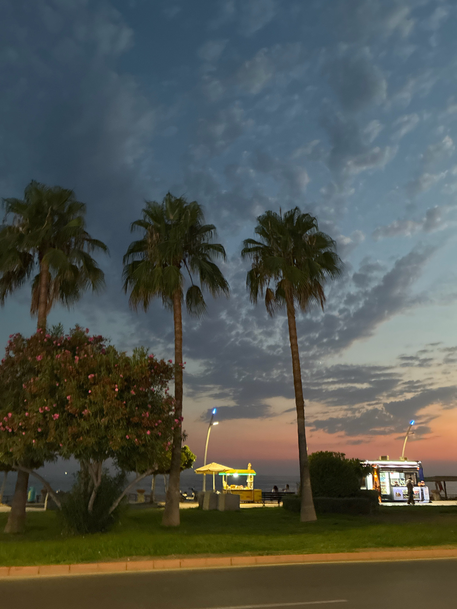 The image depicts a seaside promenade at dusk in Alanya, Turkey. Three prominent palm trees are silhouetted against a dramatic sky, transitioning from a deep, stormy blue on the left to soft oranges and pinks on the right, indicating sunset or twilight. Wispy clouds are scattered across the sky.
In the mid-ground, a vibrant tree with pink blossoms adds a splash of color to the scene. Beyond this, a glimpse of the sea is visible. Along the promenade, a yellow umbrella shades a food stand, and further to the right, a food truck is illuminated with bright lights, with a few patrons visible. A single streetlamp with a blue light is also visible. The area is lined with green grass and a paved walkway, with a road in the foreground.
The overall mood is serene and tranquil, capturing the peaceful transition from day to night by the sea. The presence of the food stands and a few people suggests a lively but relaxed atmosphere, common for evening leisure in a coastal town. There is no visible text in the image.