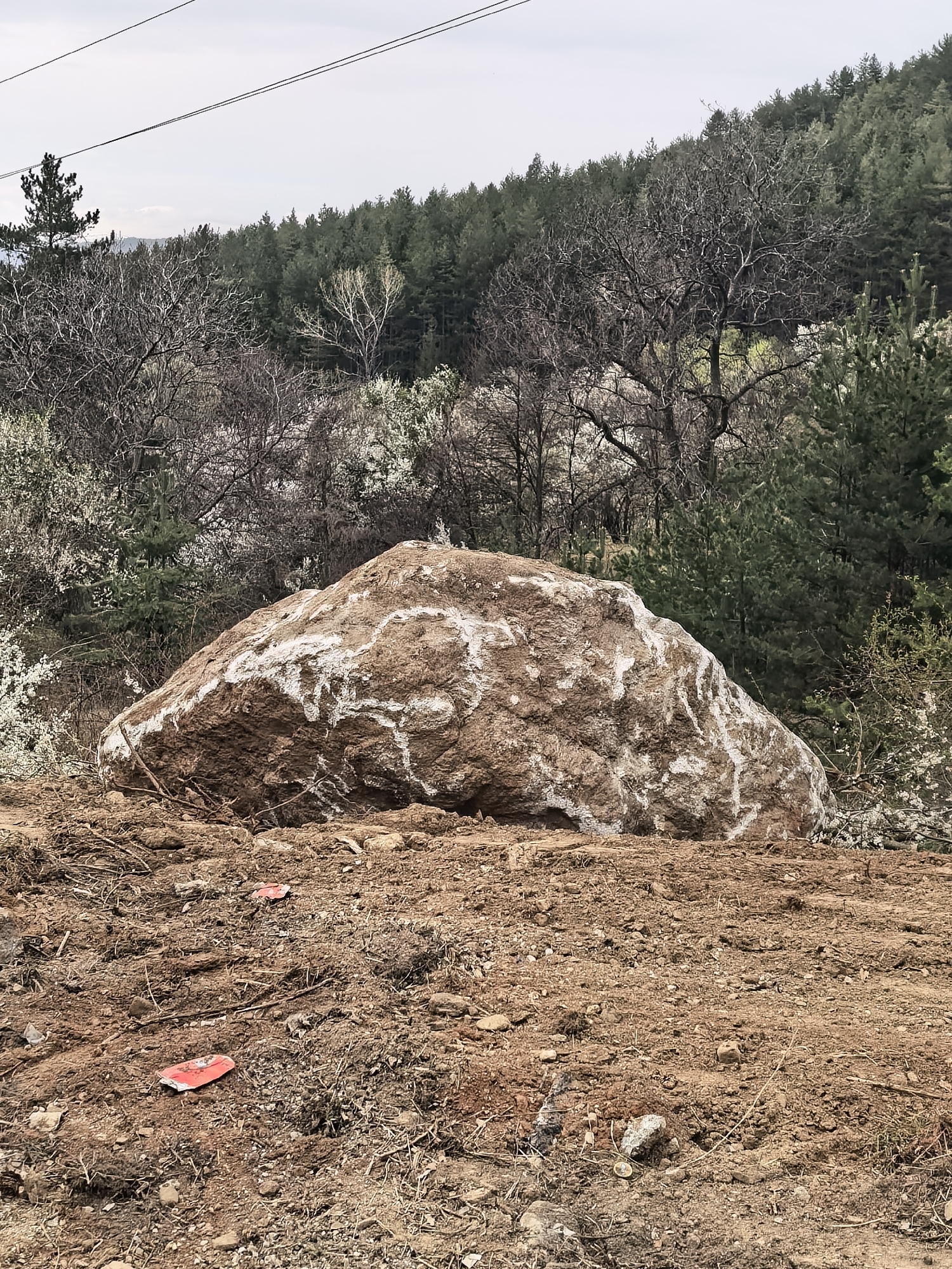 The image presents an outdoor scene dominated by a large, irregularly shaped brown rock in the foreground, set against a backdrop of trees under an overcast sky.
The central subject is a substantial rock with a rough texture, prominently marked with numerous white, abstract streaks and patches across its visible surfaces. These markings appear to be chalk or paint, applied in a non-alphanumeric pattern. The ground immediately surrounding the rock is composed of reddish-brown, loose soil mixed with small stones and dry organic debris, suggesting recent disturbance or excavation. Two small, rectangular red objects are partially embedded in the dirt in the lower left portion of the foreground.
In the mid-ground, a mix of trees is visible. Several deciduous trees with intricate, bare branches, some showing early white blossoms, stand in front of a denser forest. Beyond these, a thick expanse of evergreen coniferous trees covers the distant slopes. The sky above is a light, uniform grey, indicating an overcast day. Two thin, dark power lines stretch horizontally across the top of the frame.
The overall impression is of a natural environment, possibly a rural or semi-rural area, where the ground has been recently disturbed, perhaps for construction, road work, or landscaping, with the marked rock being a focal point of this activity. No discernible text is visible on any of the subjects or objects in the image.