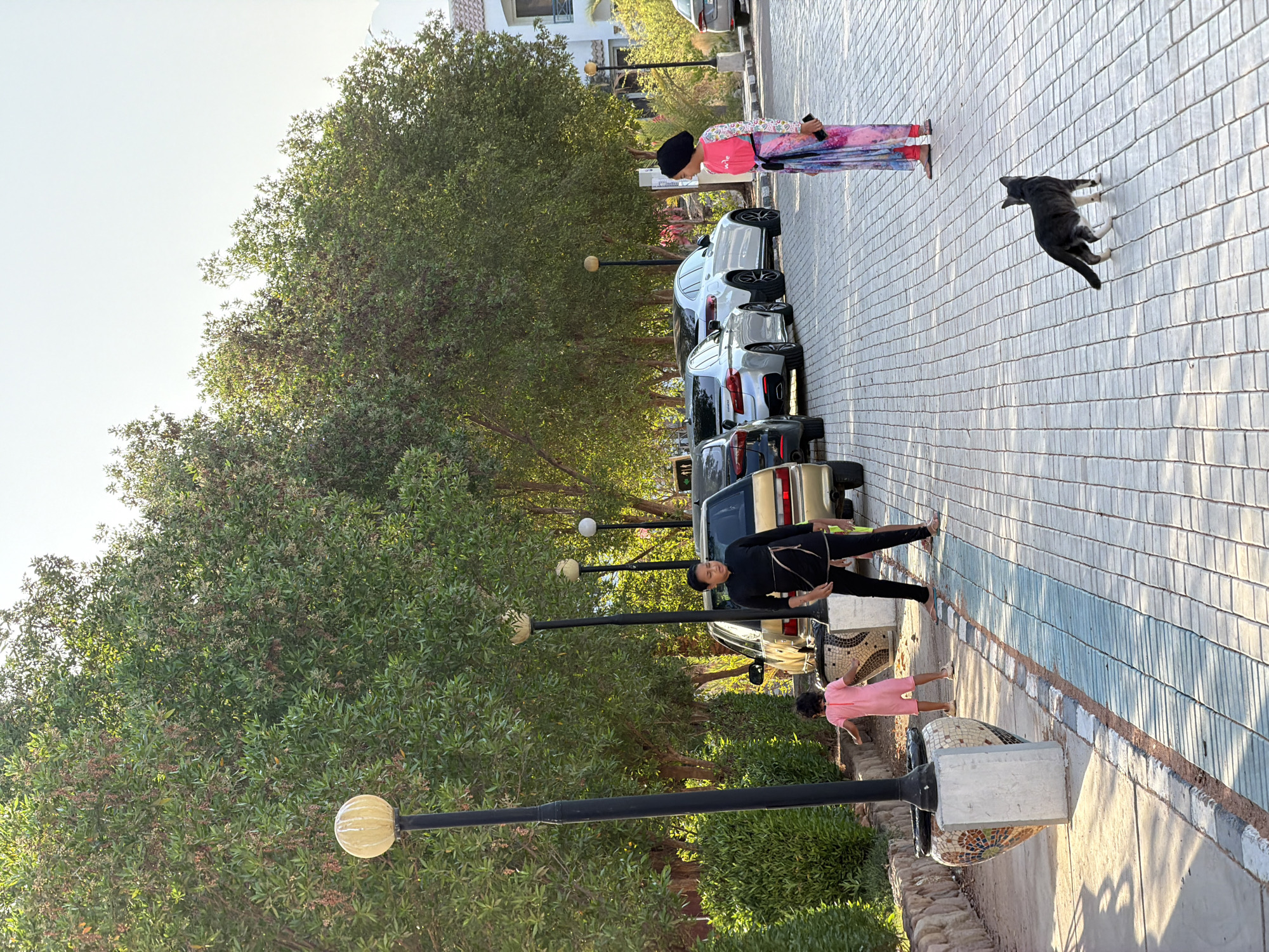 The image depicts a scene on a paved walkway in Sharm El Sheikh, Egypt. The walkway is laid with light-colored rectangular bricks arranged in a basketweave pattern, with a strip of blue-tinted bricks running alongside. Several cars, including a silver Mercedes-Benz sedan and a gold sedan, are parked on the right side of the walkway, partially obscured by trees. A woman in a black top and leggings stands near the gold sedan, facing away from the camera. A young girl in a pink jumpsuit is walking away from the woman towards the left of the frame. Further down the walkway, a woman wearing a headscarf and a colorful, flowing garment stands facing the camera, holding a mobile phone. A black and gray cat is visible on the walkway between the two women, looking away from the camera. Tall trees with green foliage line the left side of the walkway, and lampposts are positioned at intervals along the path. In the background, parts of buildings with white walls and tiled roofs are visible, suggesting an urban or resort setting. The overall lighting suggests it is daytime, possibly late afternoon due to the warm sunlight and shadows.