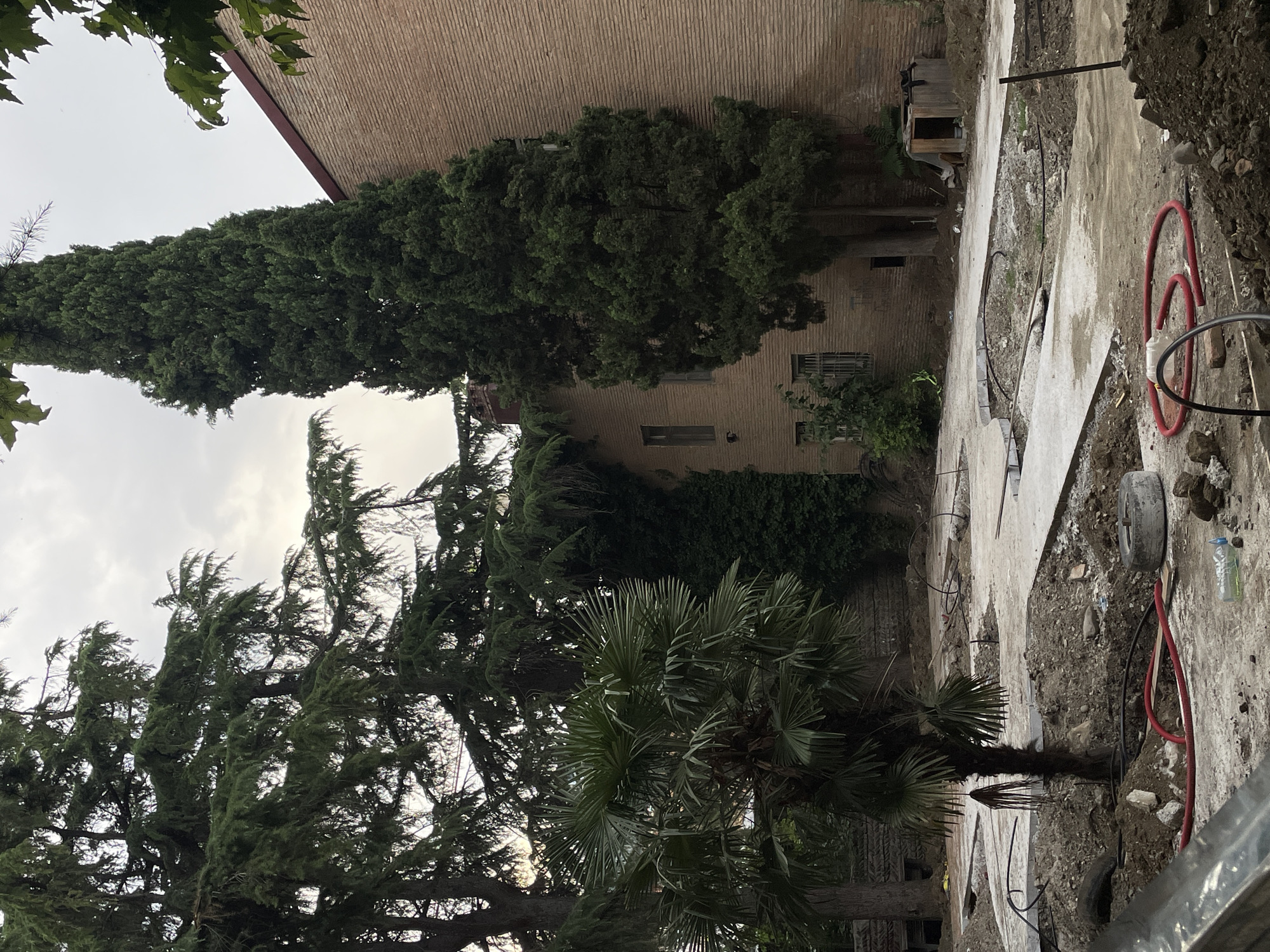The image depicts an outdoor scene in Tbilisi, Georgia, likely during daylight hours given the ambient light. The foreground shows a construction site with exposed earth, concrete slabs, and various construction materials including red piping and what appears to be a discarded tire. A small palm tree stands in the mid-ground. Behind the construction area, a multi-story brick building is visible, partially obscured by several large trees. One particularly tall, slender evergreen tree is prominent next to the building. The sky is overcast. No people are present in the image.