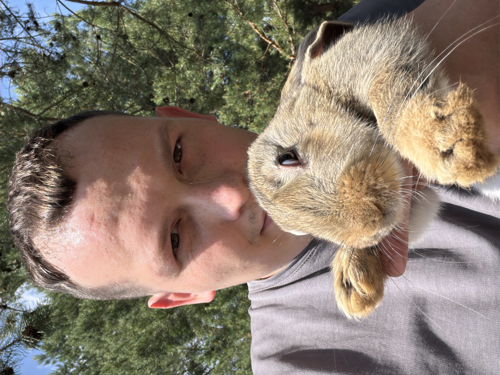 A close-up, selfie-style shot captures a man holding a rabbit outdoors. The man, with short brown hair and a grey t-shirt, is positioned on the left side of the frame, looking towards the camera. His face is partially obscured by the rabbit, which is held in his arms in the center-right of the image. The rabbit has light brown fur with a white chest. The background consists of lush green pine trees and a clear blue sky, suggesting a natural, possibly park-like setting. The lighting indicates it is daytime. The image does not provide any specific details about the city of Гольяны, Russia.