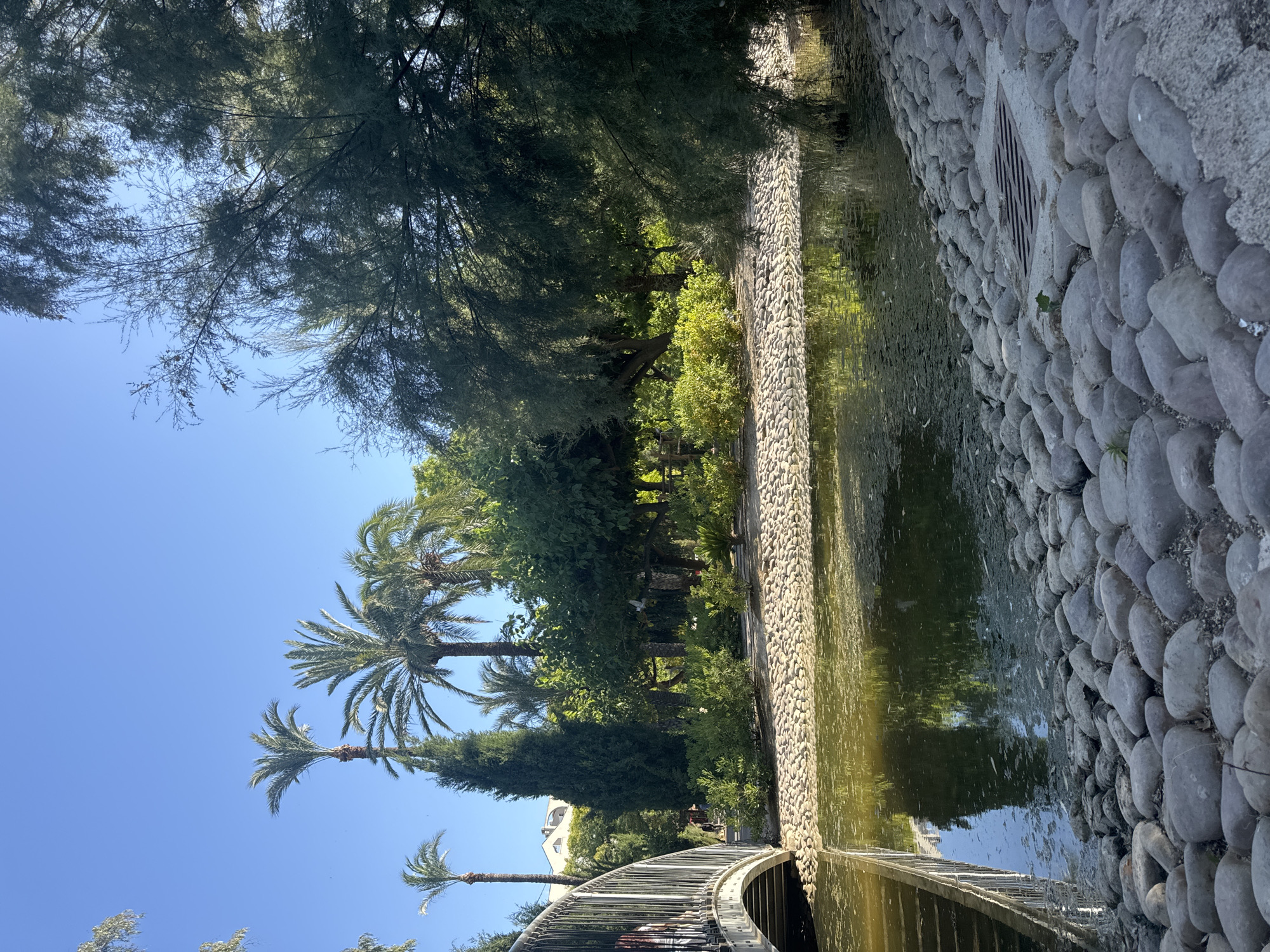 The image depicts a tranquil park scene with a body of water in the foreground. The water is bordered by smooth, grey river stones on one side, and a white bridge with a metal railing on the other. Lush green trees and palm trees are abundant throughout the park, creating a vibrant and natural atmosphere. In the background, a building with a light-colored facade is visible, suggesting an urban setting. The sky is clear and blue, indicating a sunny day. Based on the vegetation, architectural style, and the presence of palm trees, this scene is likely located in a city with a Mediterranean climate. The image was taken in the city of Murcia, Spain.