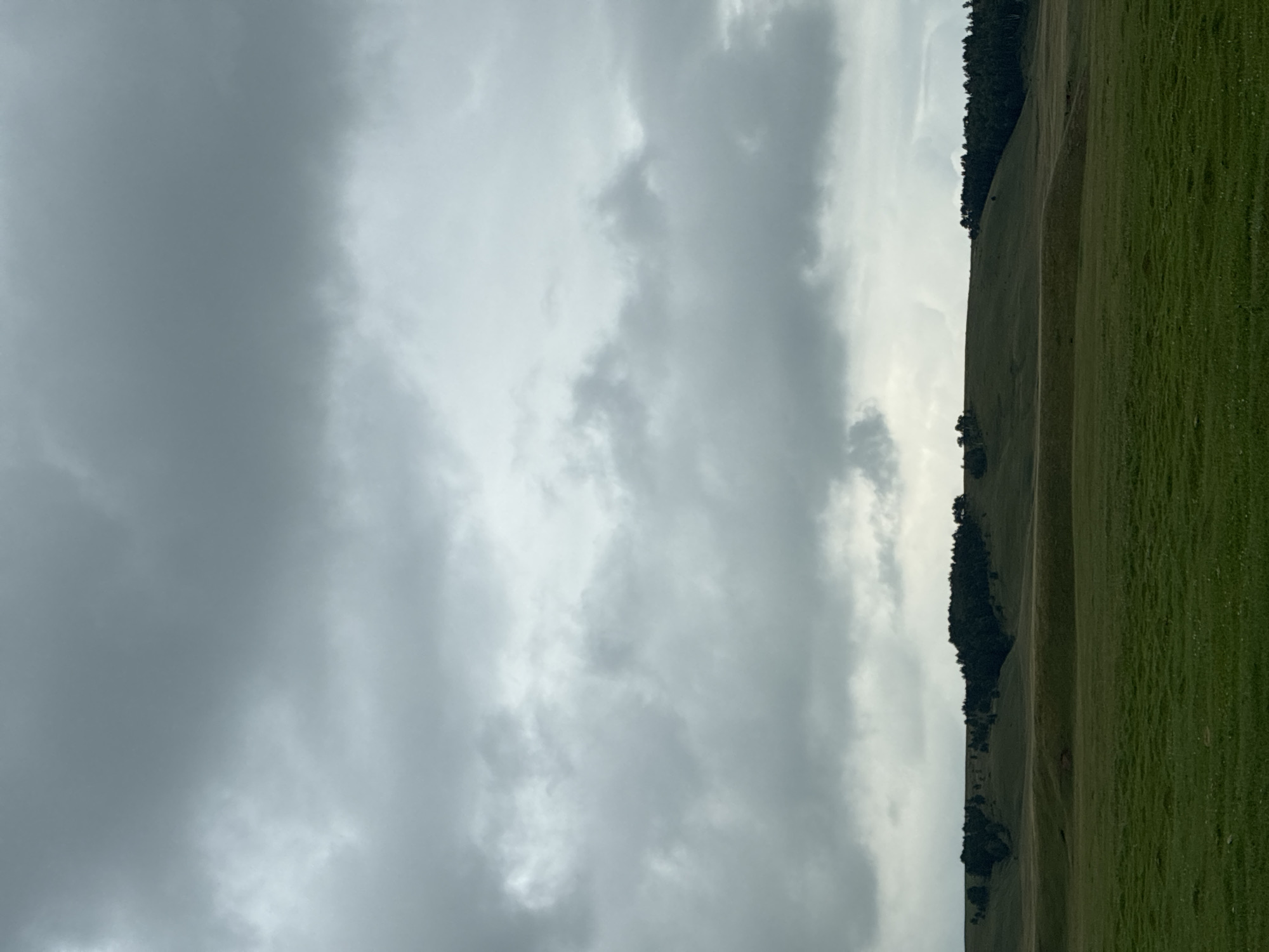 This is a landscape photograph taken in the city of Ust'-Ordynskii, Russia, under an overcast sky. The image is divided into three horizontal sections: the sky, the rolling hills, and a foreground field.
The sky occupies the top half of the image and is filled with heavy, gray clouds that obscure any direct sunlight. The cloud formations are varied, with some appearing dense and dark, while others are lighter and more diffused.
Below the sky are undulating green hills. The middle ground features a ridge line with a dense band of dark green evergreen trees covering its crest in various sections. The hills themselves are a lighter shade of green, suggesting grassy slopes. There are subtle undulations and dips in the terrain, with some appearing as gentle mounds.
The foreground is a flat, open field of vibrant green grass. The grass appears short and well-maintained, with a textured surface that hints at slight unevenness or ripples in the ground. The overall color palette is dominated by greens and grays, creating a somber yet natural atmosphere. No people, animals, or man-made structures are visible in the frame, emphasizing the natural landscape.