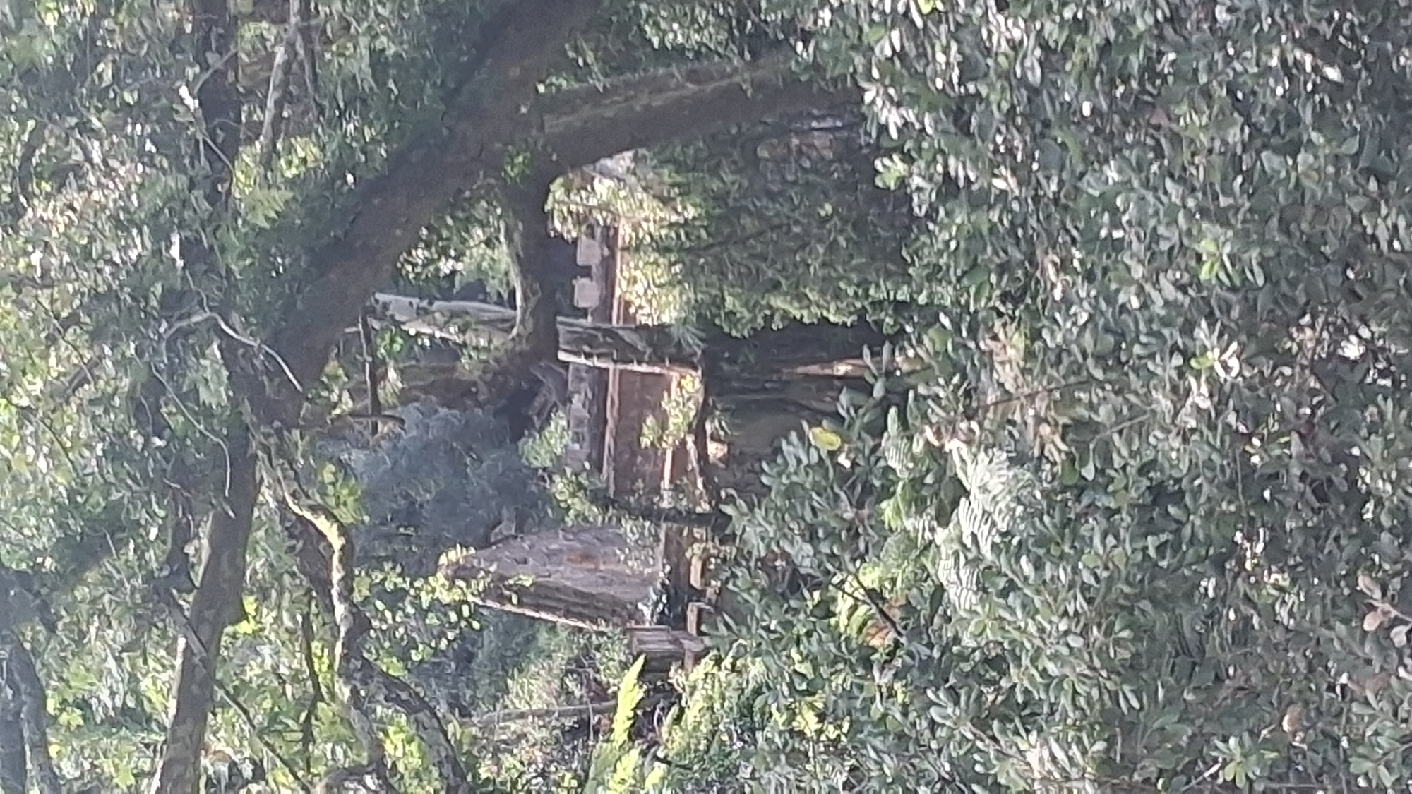 The image depicts overgrown ruins of what appears to be a stone structure, possibly a small castle or folly, situated within a densely wooded area. The stone construction features crenellated parapets and architectural elements suggestive of a defensive or ornamental purpose. Sunlight filters through the canopy of trees, casting dappled light on the moss-covered stonework and the surrounding lush foliage. The scene is one of decay and nature reclaiming man-made structures, evoking a sense of abandonment and mystery. The location is identified as Sintra, Portugal, within the civil parish of Santa Maria e São Miguel, São Martinho e São Pedro de Penaferrim, an area known for its historic estates and natural beauty.