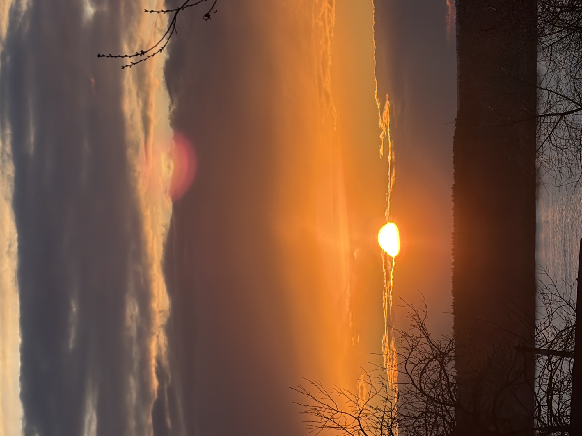 The image captures a vibrant sunset or sunrise over a natural landscape, likely in Chaikovsky, Russia. The sun, a brilliant, intensely glowing orb, is positioned in the lower right (when viewed upright), casting a strong, warm light across the scene. The sky is dominated by rich orange and yellow hues around the sun, transitioning to shades of purple, grey, and soft blue higher up and towards the left.
Numerous clouds are present; some are dark and heavy in the upper left, while others are elongated and illuminated by the low sun, stretching across the middle of the sky in streaks of white and gold. A noticeable reddish-pink lens flare appears in the upper left quadrant, reflecting the intensity of the light source.
A dark, distinct horizon line spans the lower portion of the image, separating the radiant sky from the shadowed terrain below. This land appears as a silhouette, possibly a distant forest or hillside, receding into the twilight. In the foreground, the intricate, bare branches of deciduous trees are silhouetted against the bright sky, adding depth and a natural frame to the composition. These branches suggest either late autumn, winter, or early spring.
The scene conveys a sense of peaceful natural beauty during the golden hour, with the striking contrast between the luminous sky and the shadowed foreground and distant land. There is no visible text or human activity.