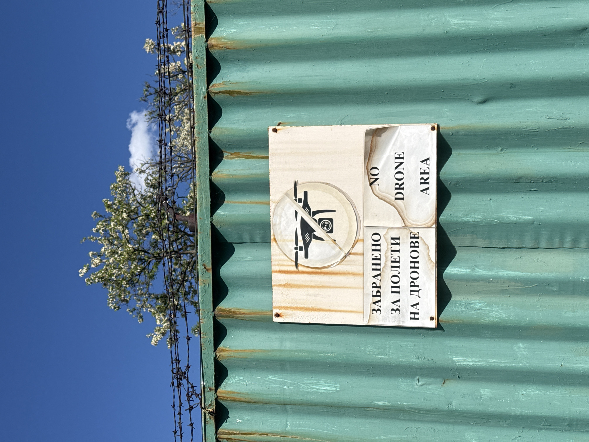 The image depicts a corrugated metal wall, likely a fence or side of a building, with a "No Drone Area" sign affixed to it. The sign is rectangular, weathered, and faded, featuring a symbol of a drone within a circle with a line through it, indicating prohibition. The text "NO DRONE AREA" is written in English and Cyrillic script, translating to "Forbidden to fly drones" in Bulgarian. The wall is painted a muted green color with horizontal corrugations. Traces of rust are visible. To the left, a blossoming tree is partially visible against a clear blue sky. Barbed wire runs along the top edge of the wall. The location can be inferred to be Blagoevgrad, Bulgaria, based on the Cyrillic text on the sign.