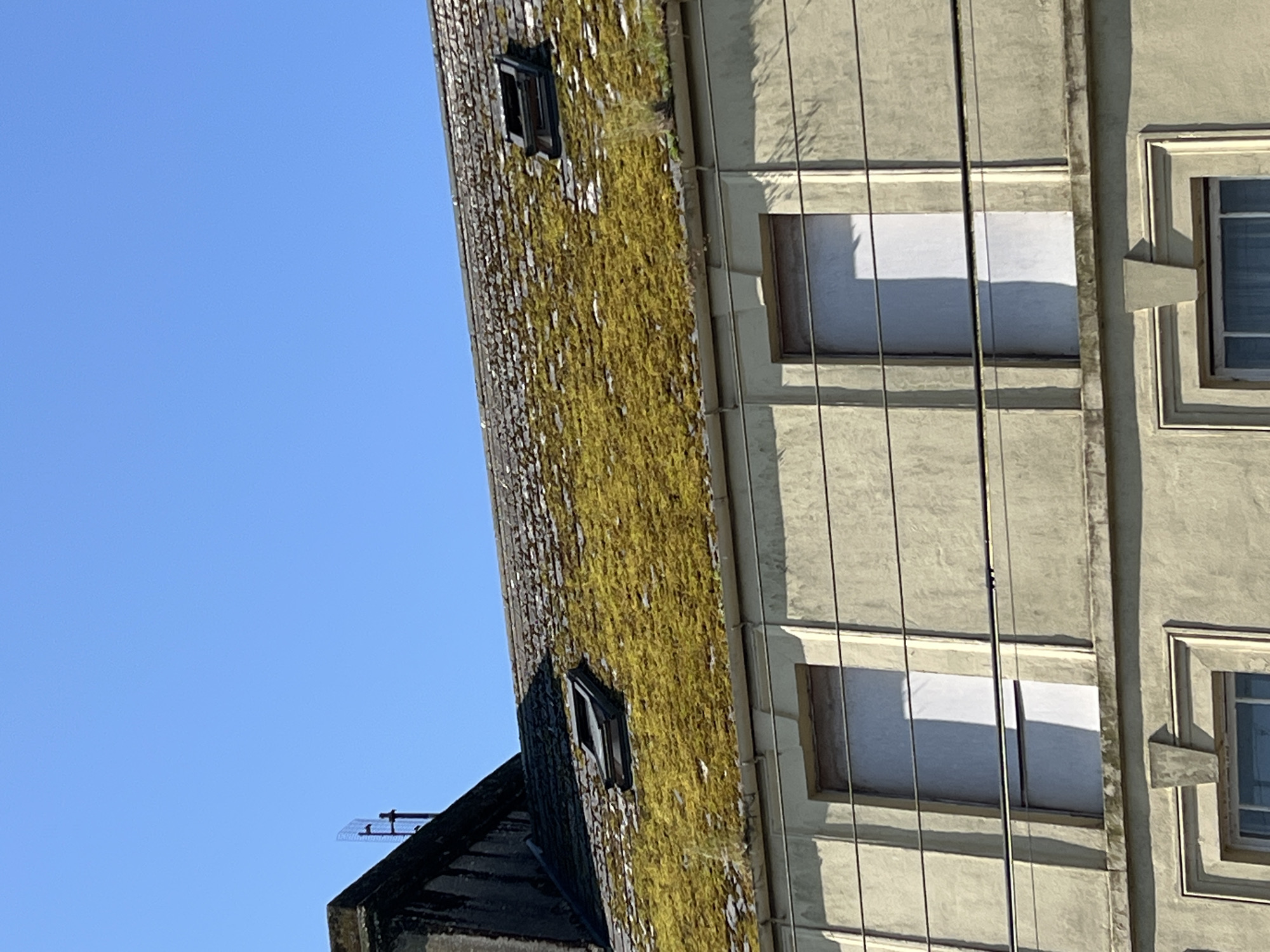 The image shows the upper facade and moss-covered roof of a building in Mountcharles, Ireland. The roof is slate and heavily overgrown with moss, with two skylights visible. The building's facade is light yellow and features two boarded-up windows. Electrical wires run horizontally across the facade. The sky is clear and blue. The image is taken from a low angle, looking upwards.