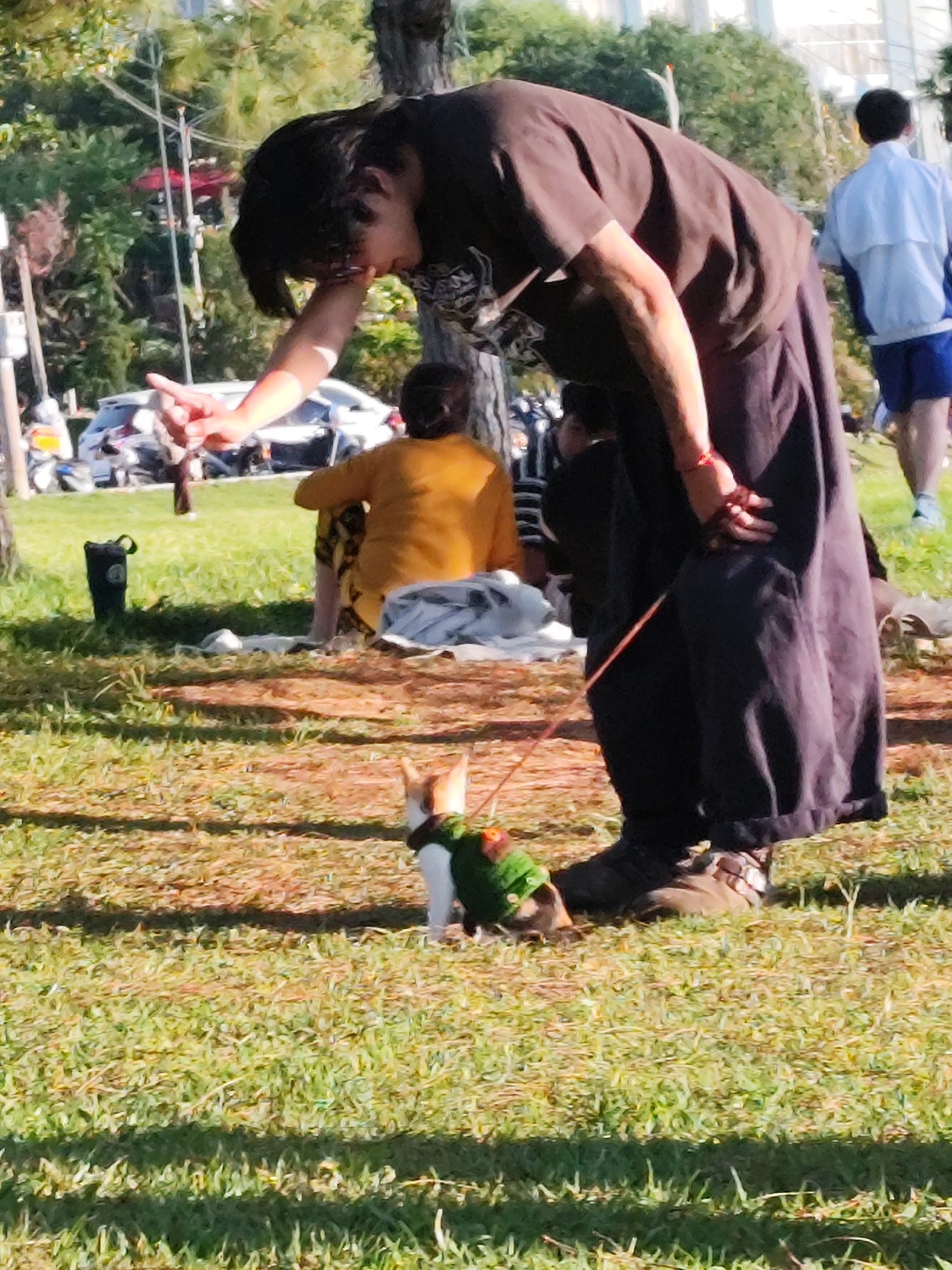 In Da Lat, Vietnam, a person in a dark brown t-shirt and dark pants is hunched over, looking down at a small dog wearing a green sweater. The person is holding something in their right hand. The dog is facing away from the viewer, with its head turned to the left. In the background, a person in a yellow shirt and patterned pants is sitting on the ground, and another person in a white jacket and blue shorts is walking away. The scene takes place on a grassy area with trees in the background. Several vehicles are visible in the distance.