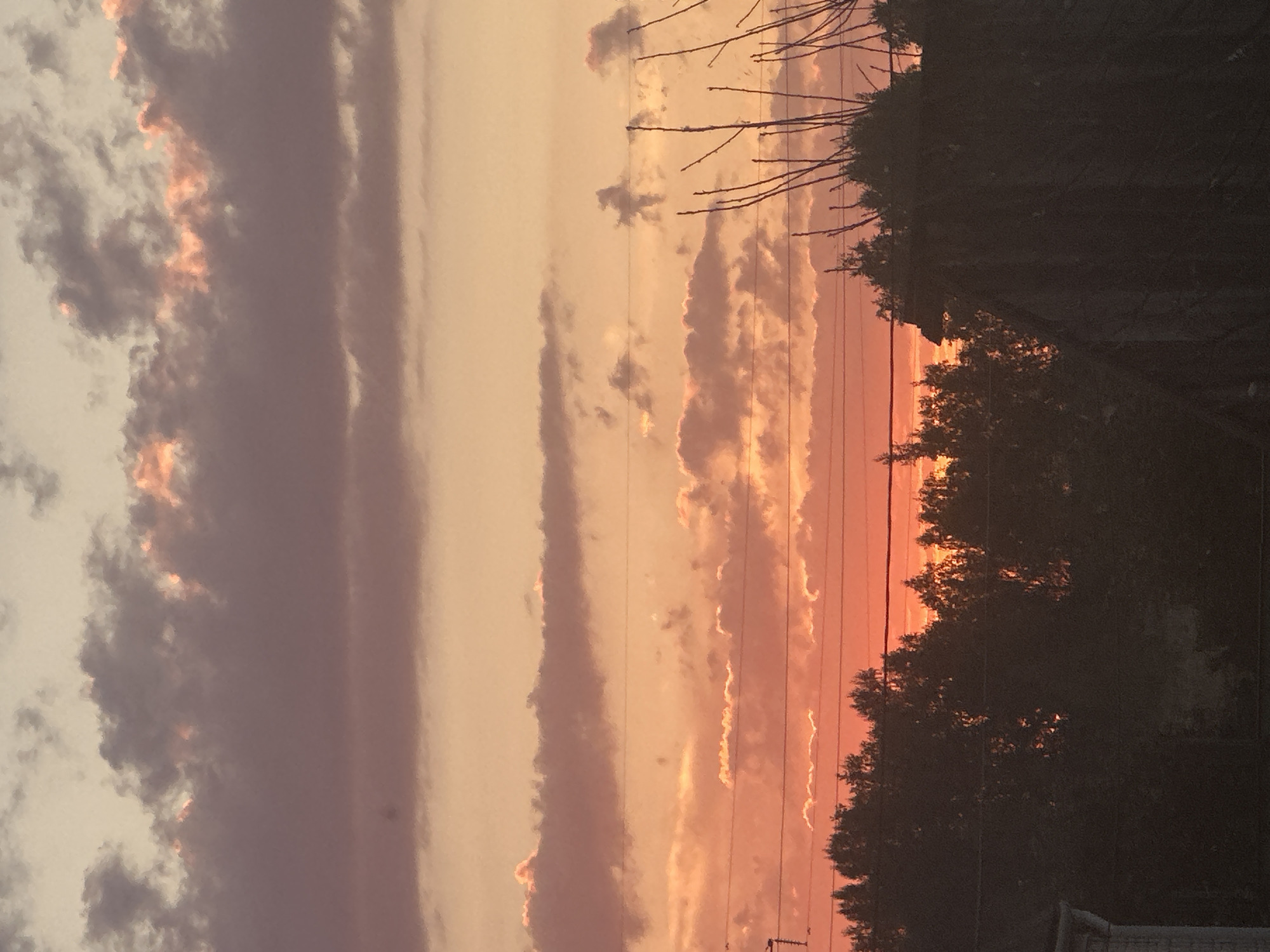The image depicts a sunset over the city of Krasnogorsky, Russia. The sky is filled with layers of clouds in varying shades of orange, pink, and gray, illuminated by the setting sun. Below the sky, a dark silhouette of trees and rooftops is visible, with power lines running horizontally across the frame. A building, partially visible on the left, suggests a residential area. The overall impression is one of a tranquil evening scene.